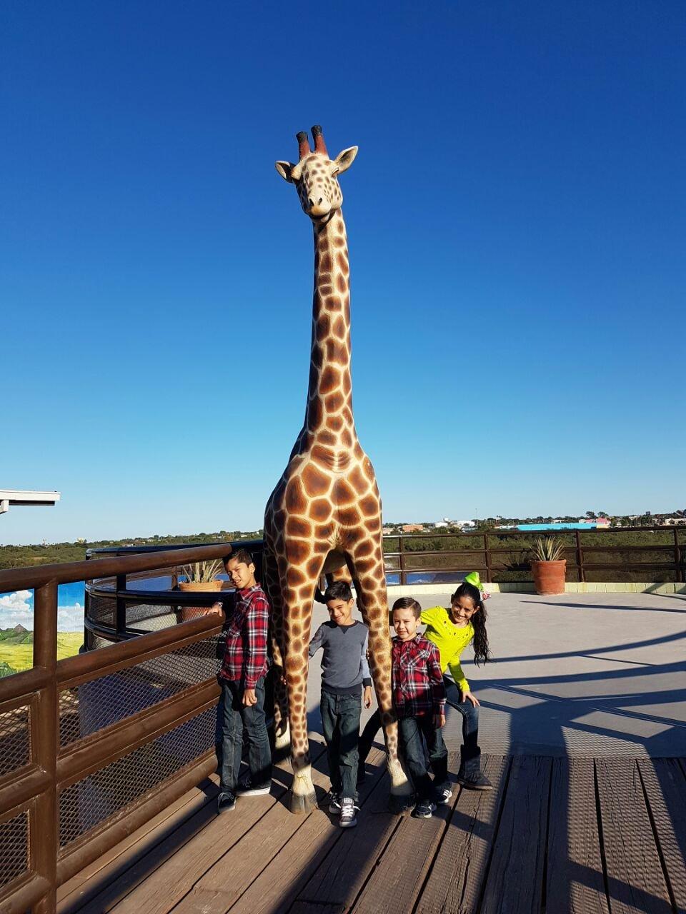 Zoologico de Nuevo Laredo