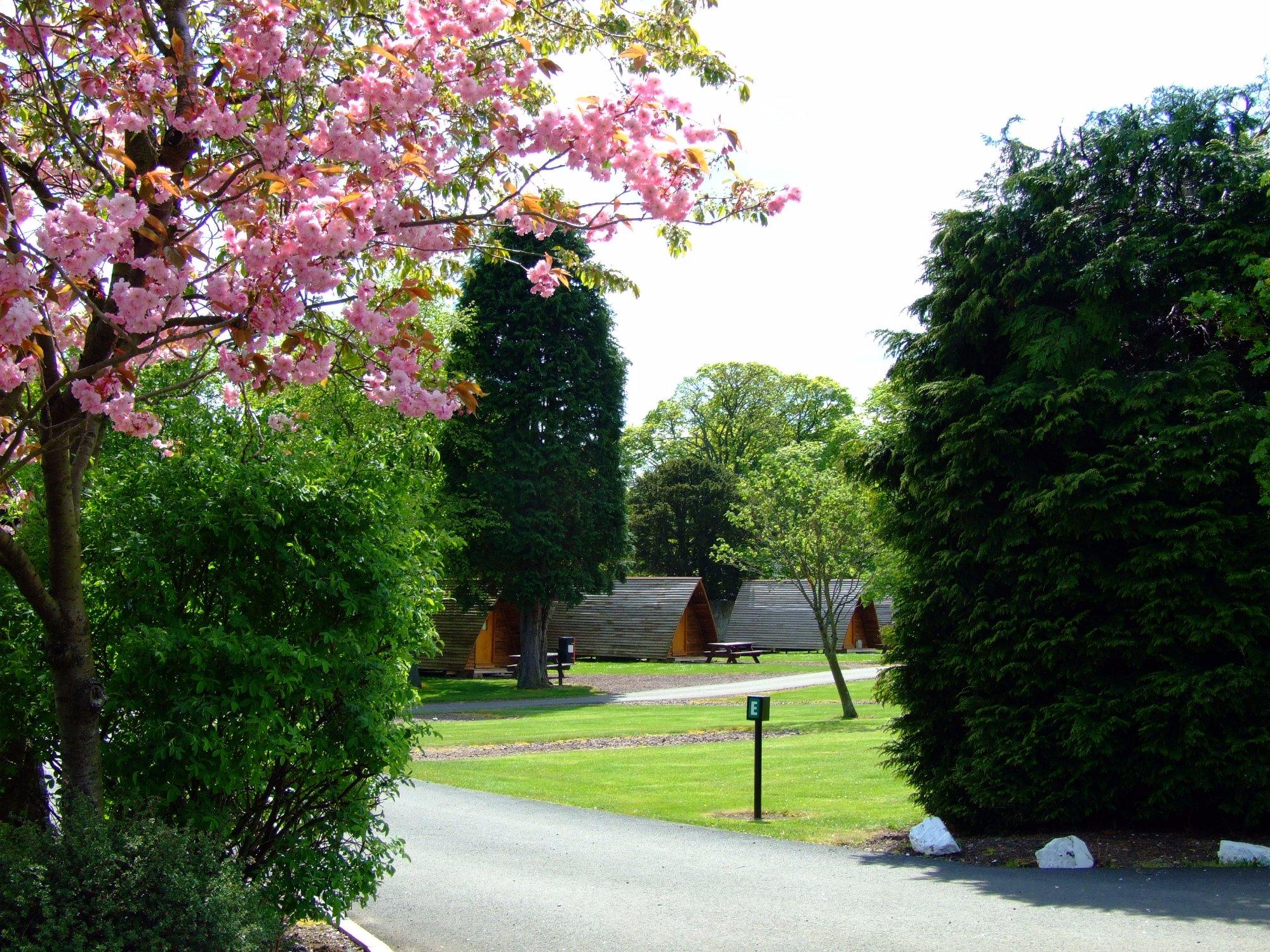Mortonhall Caravan and Camping Park