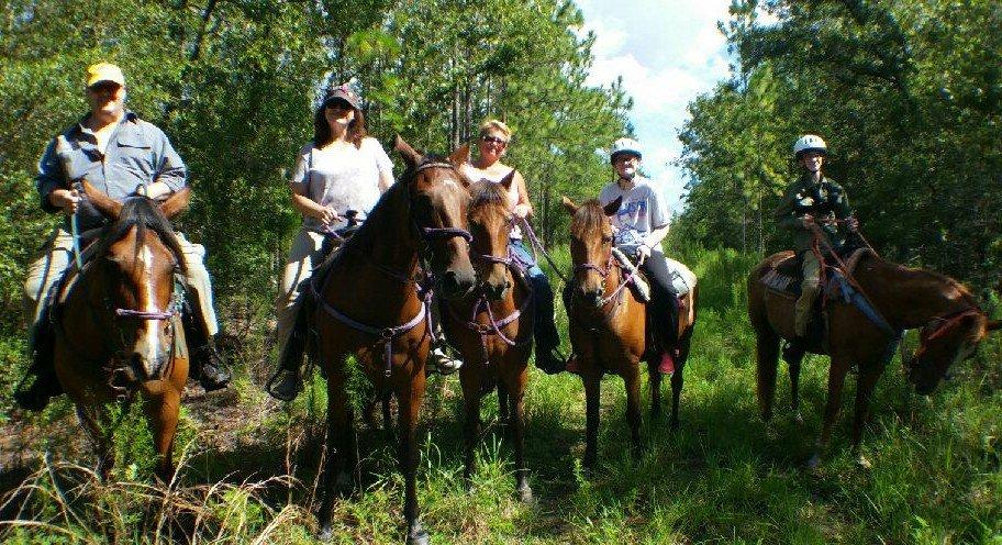 Mustang Moon Equine Solutions