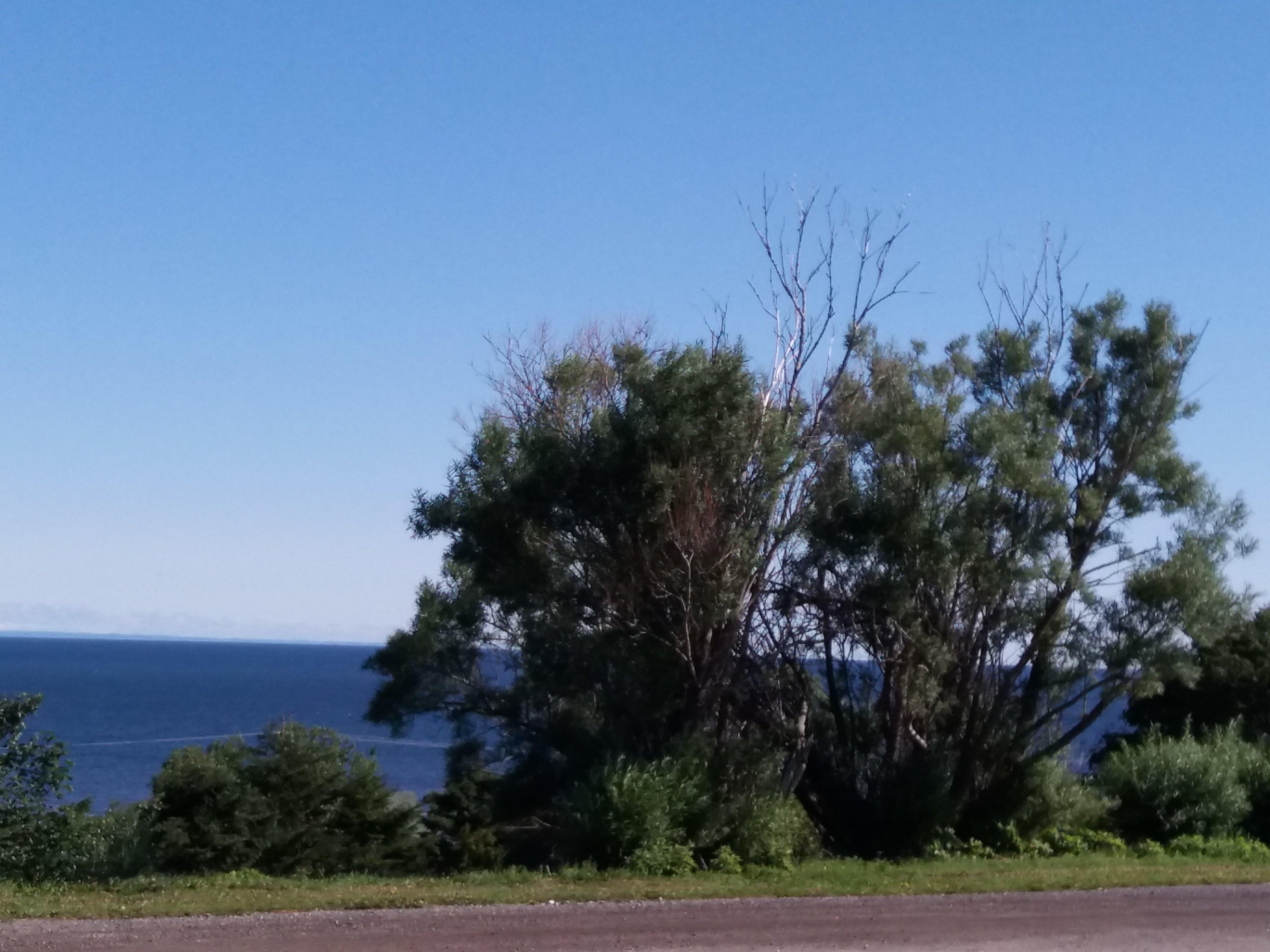 Photo by S3158JRisabelled