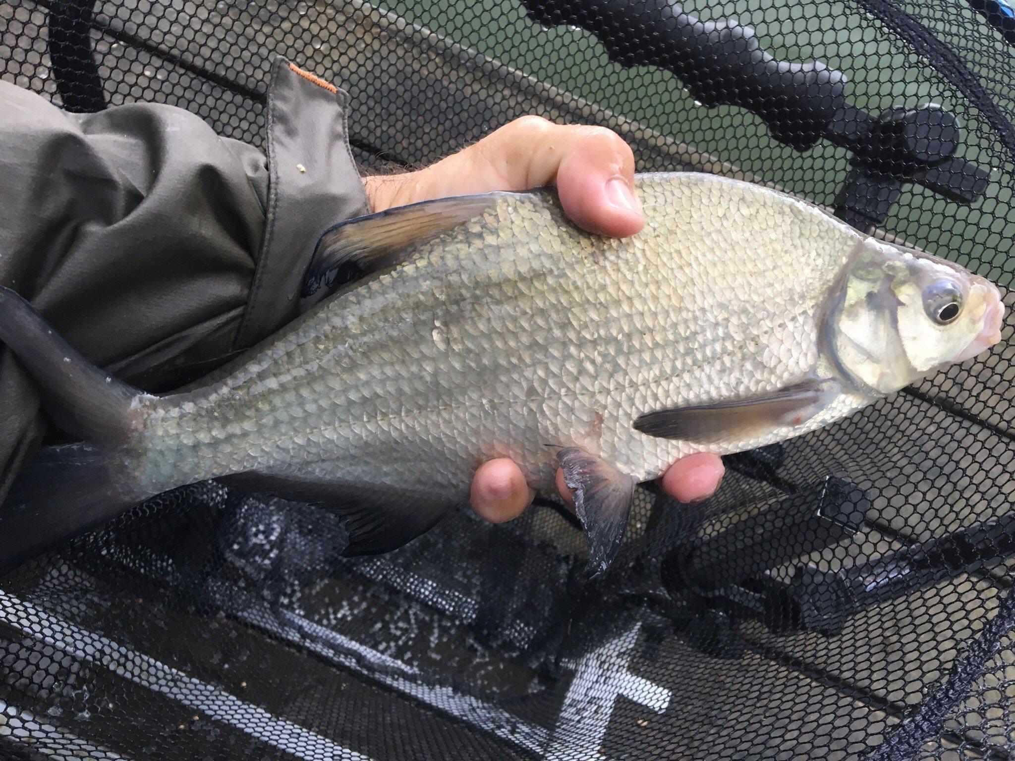 Weston Pools Village