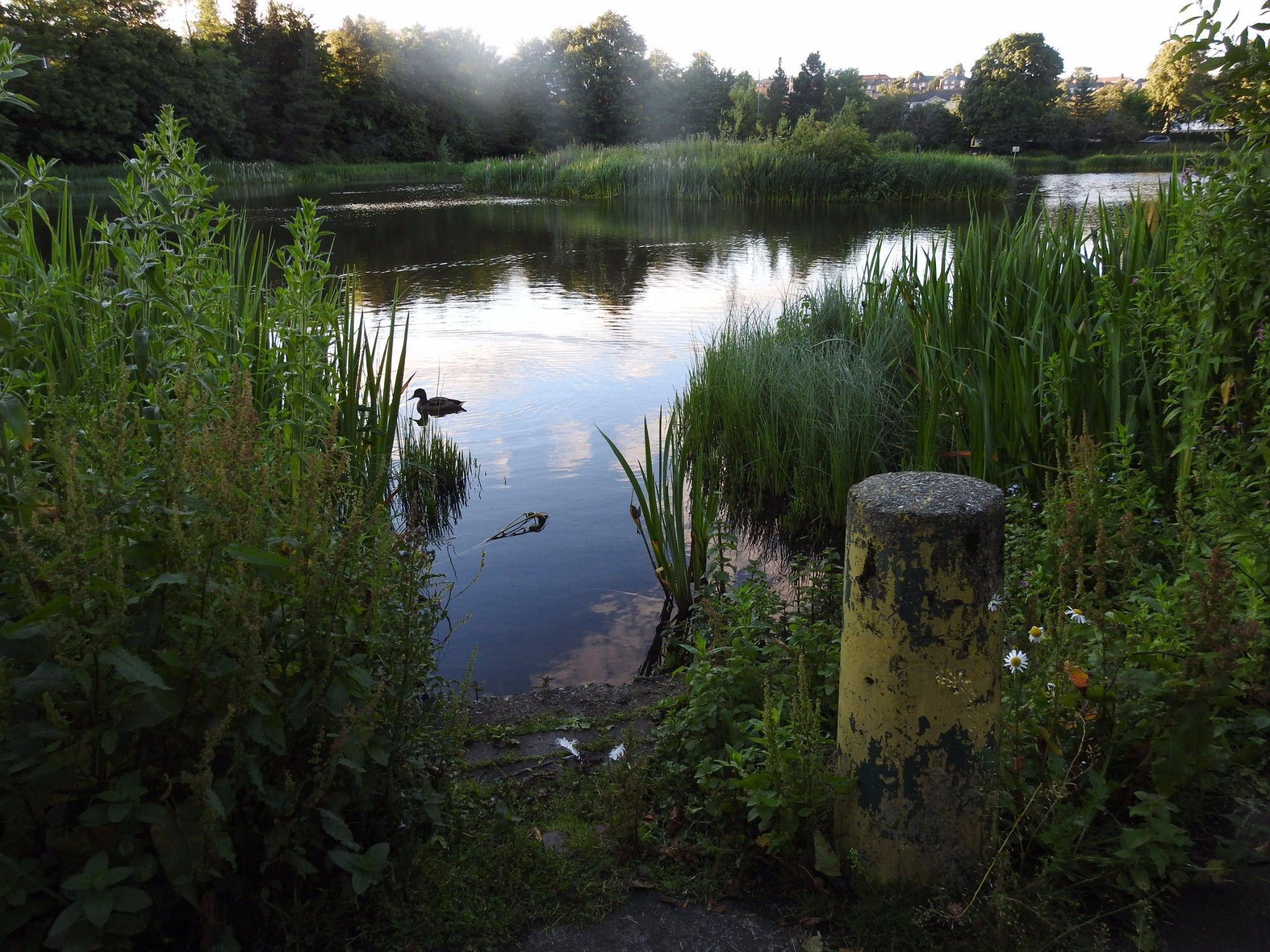 Photo by roadsideshop