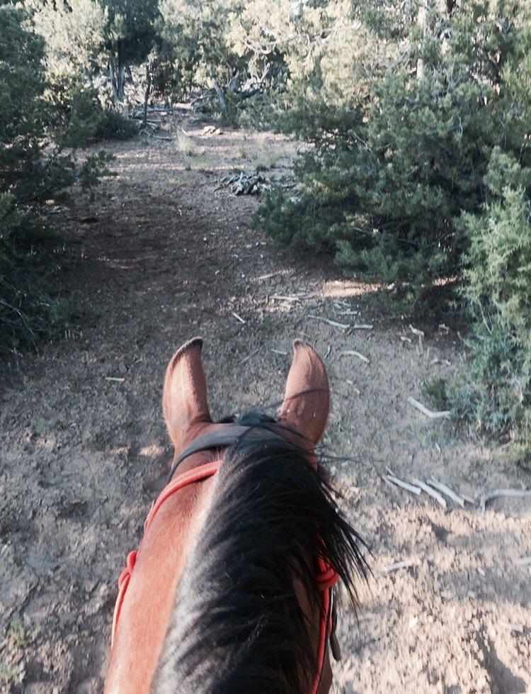 Four Corners Horseback Adventures