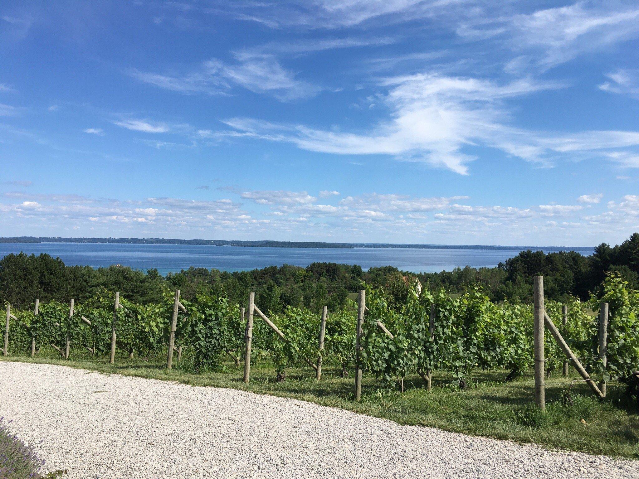 Willow Winery & Vineyard