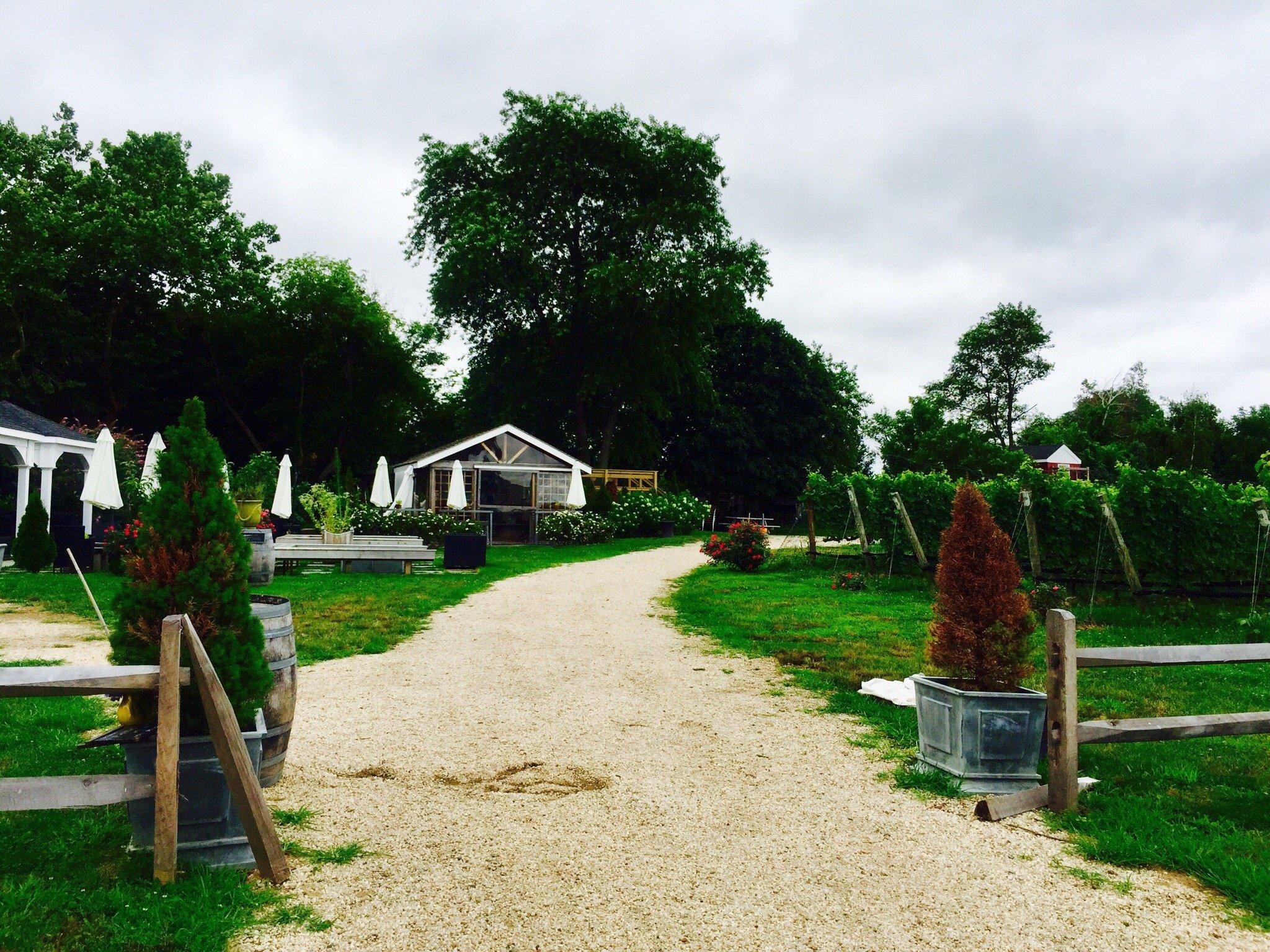 Mattebella Vineyards