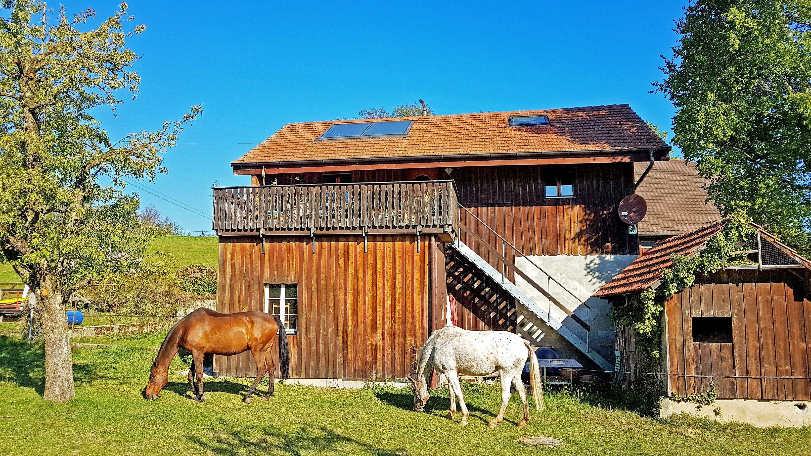Guesthouse la Moliere
