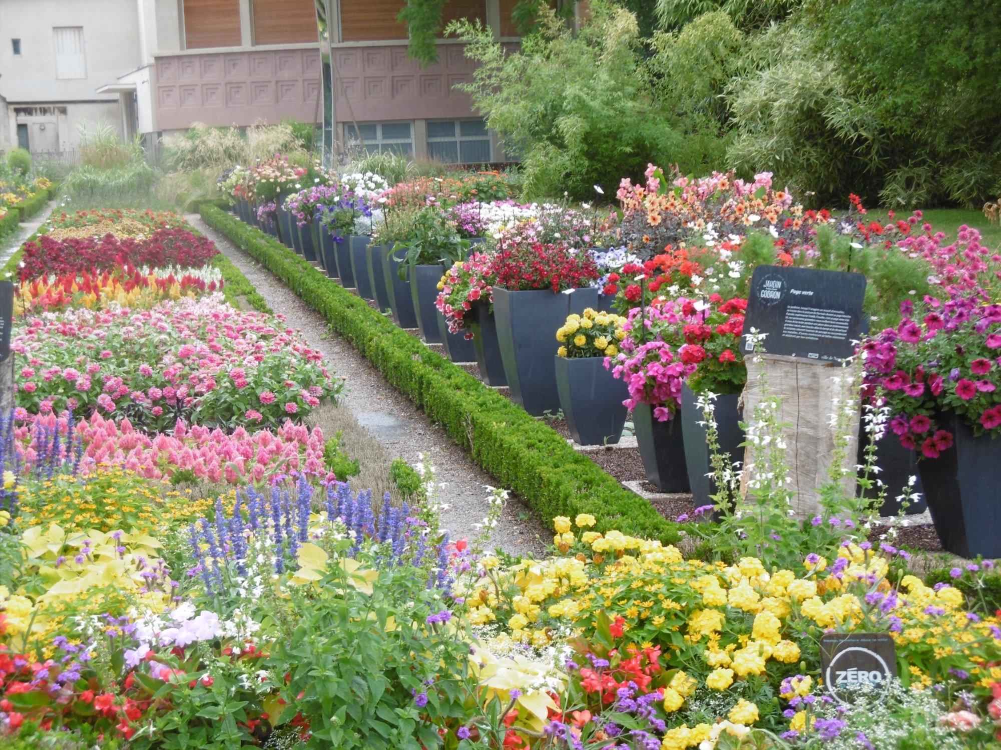 Jardin Dominique Alexandre Godron Garden