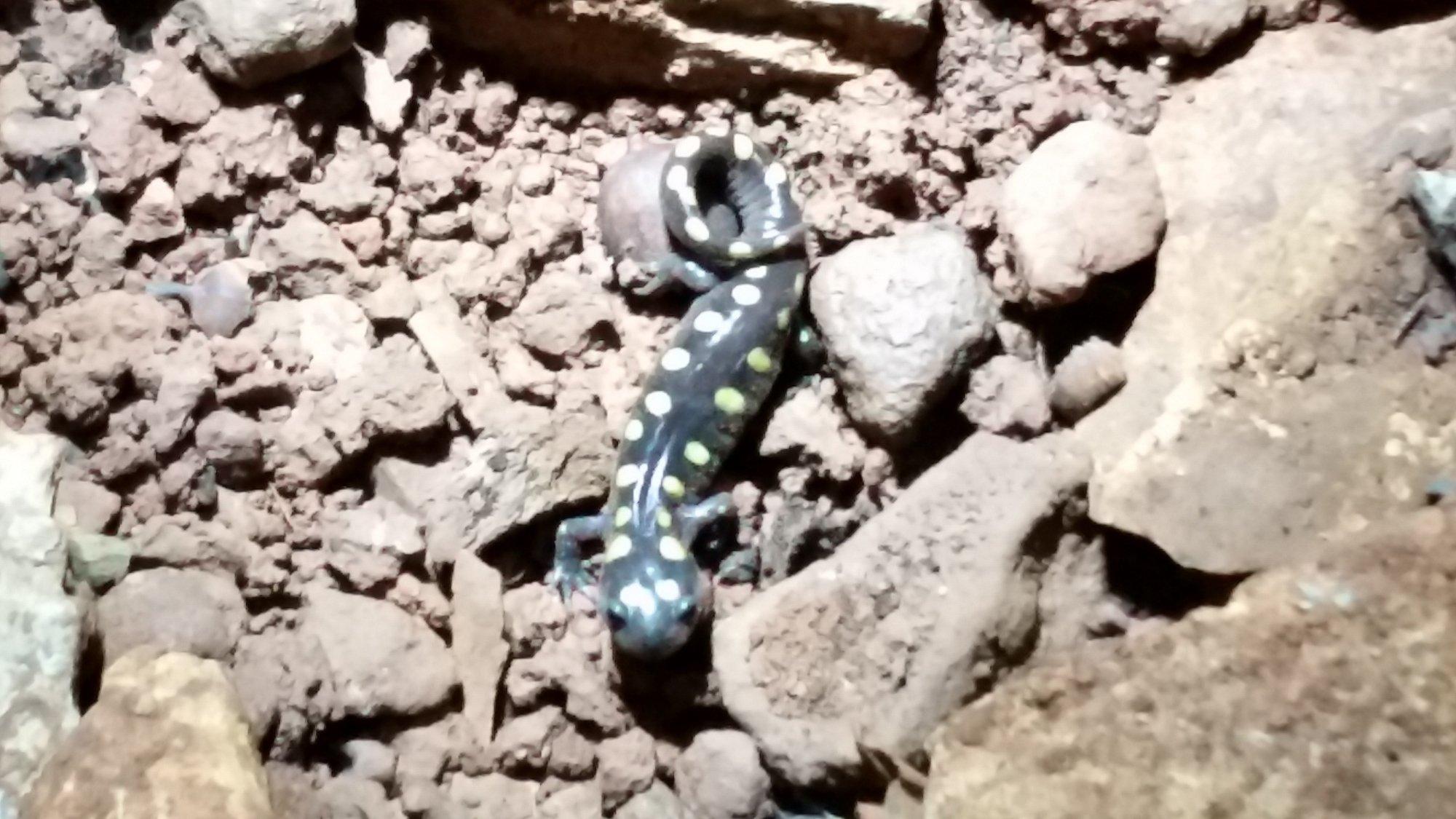 Photo by naturelovergc