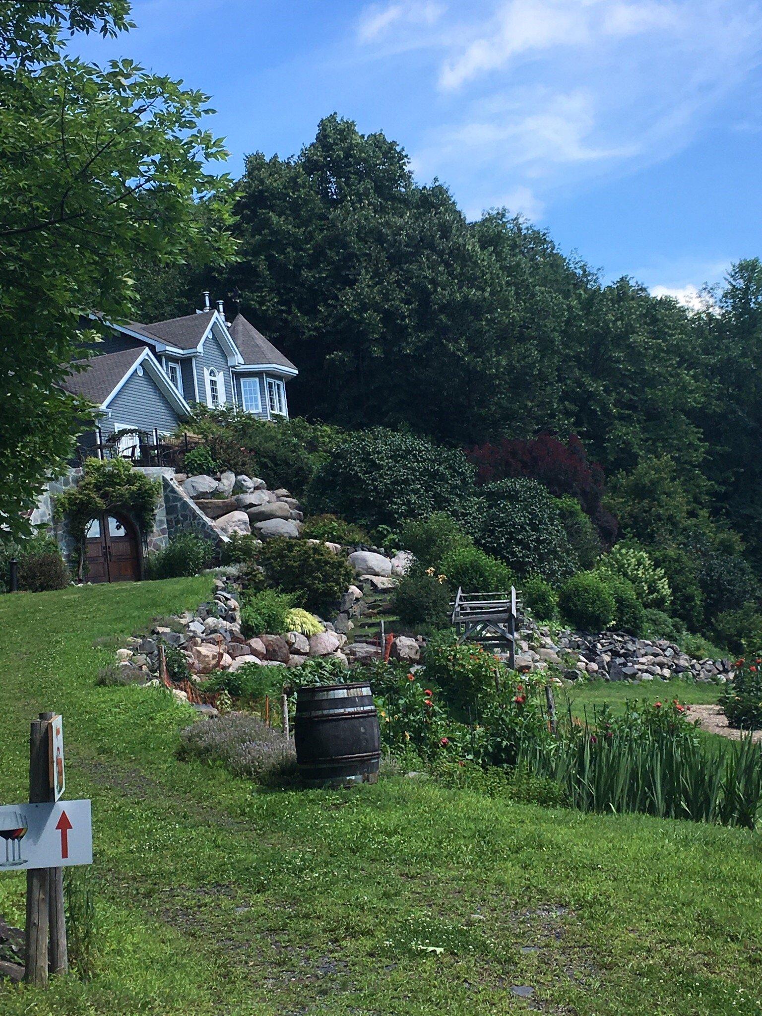 Vignoble les Murmures