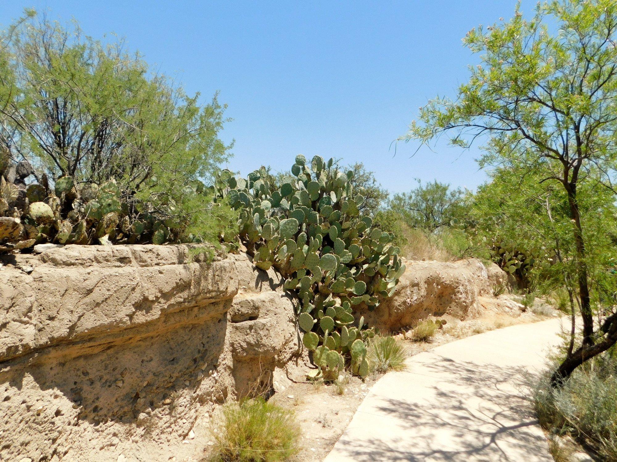 Living Desert Zoo and Gardens State Park