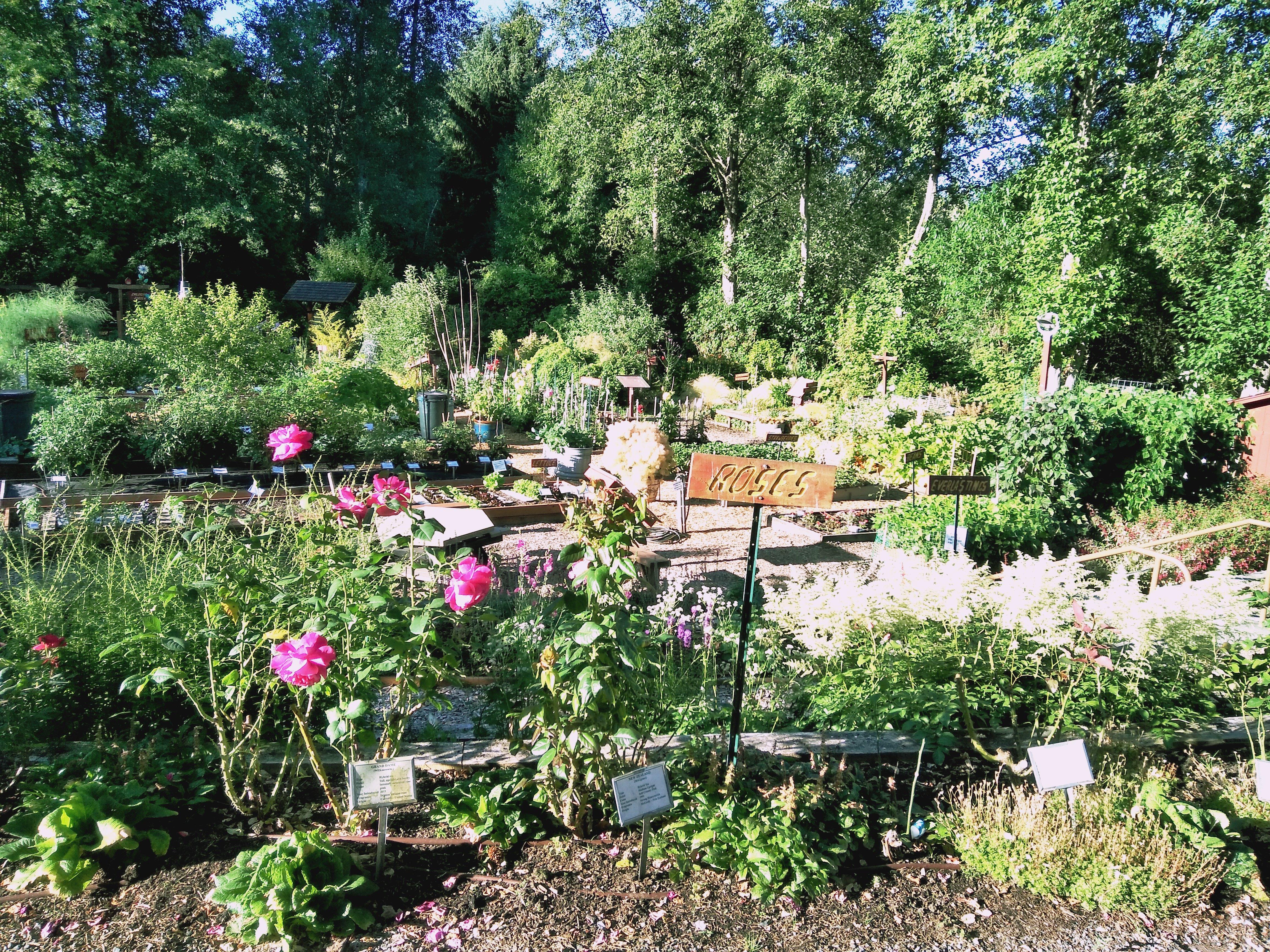 Bellevue Demonstration Garden