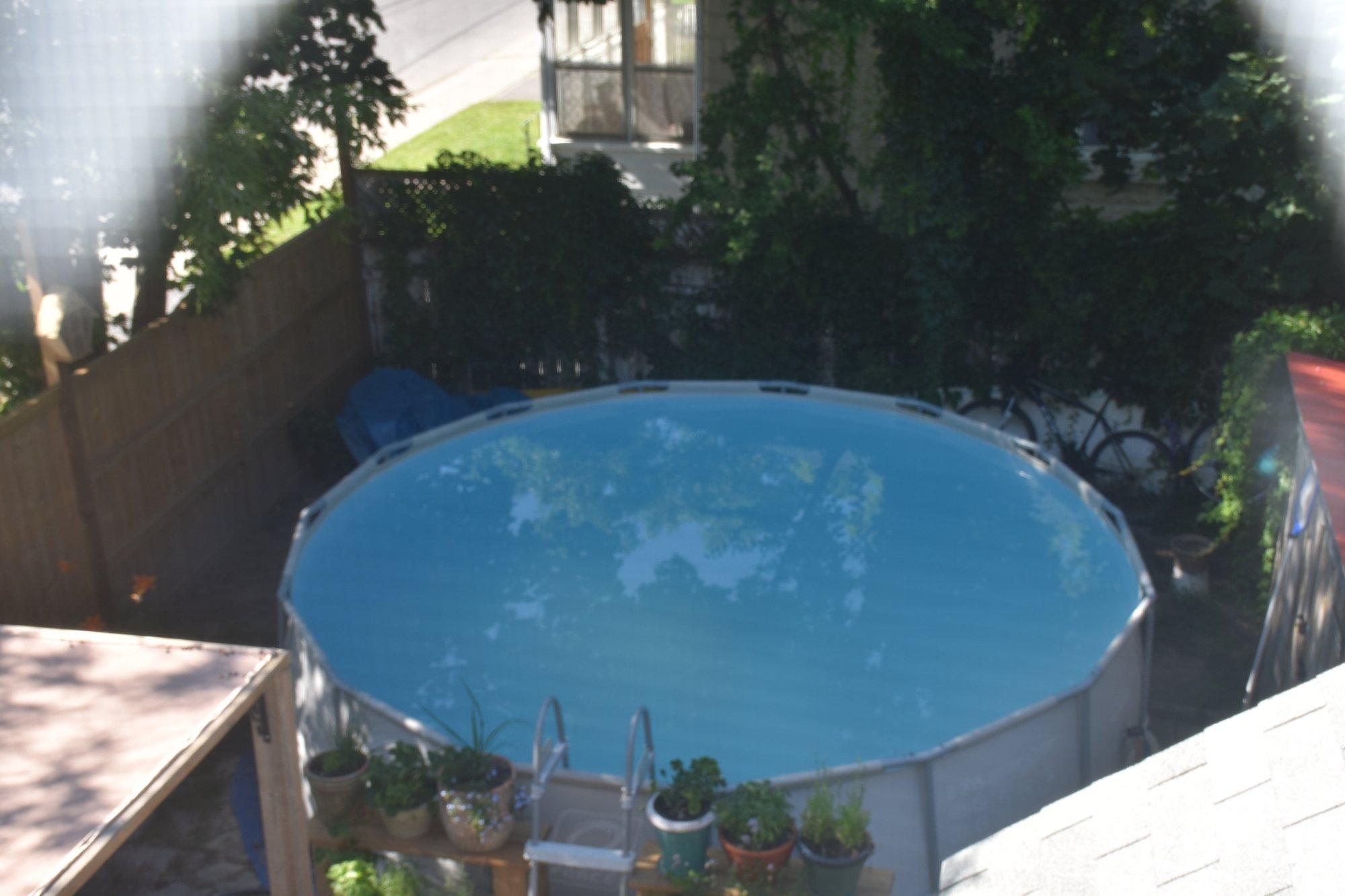 Rosa's Bed and Breakfast