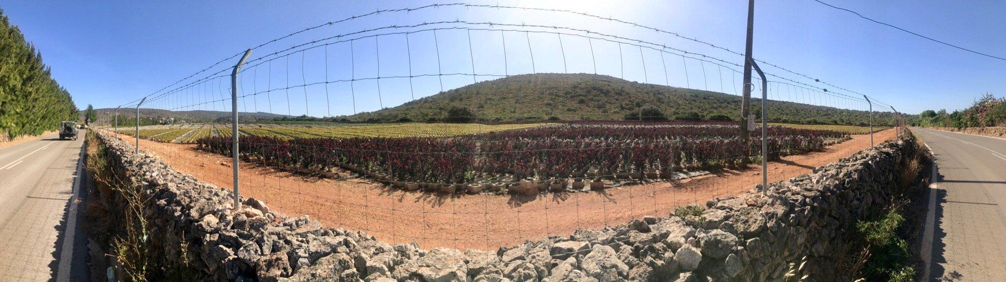 Swift Momentum Sports