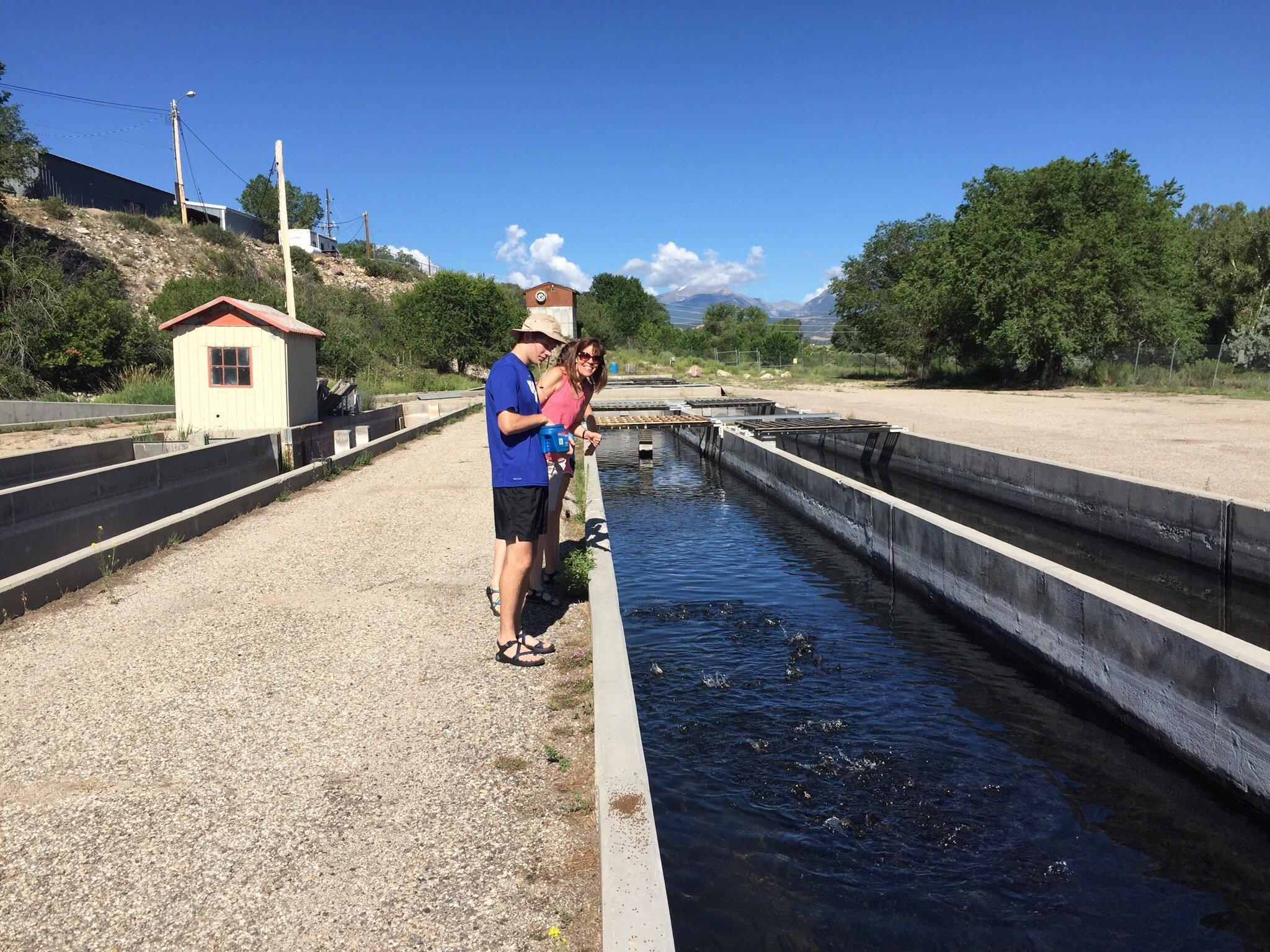 Mt. Shavano Fish Hatchery