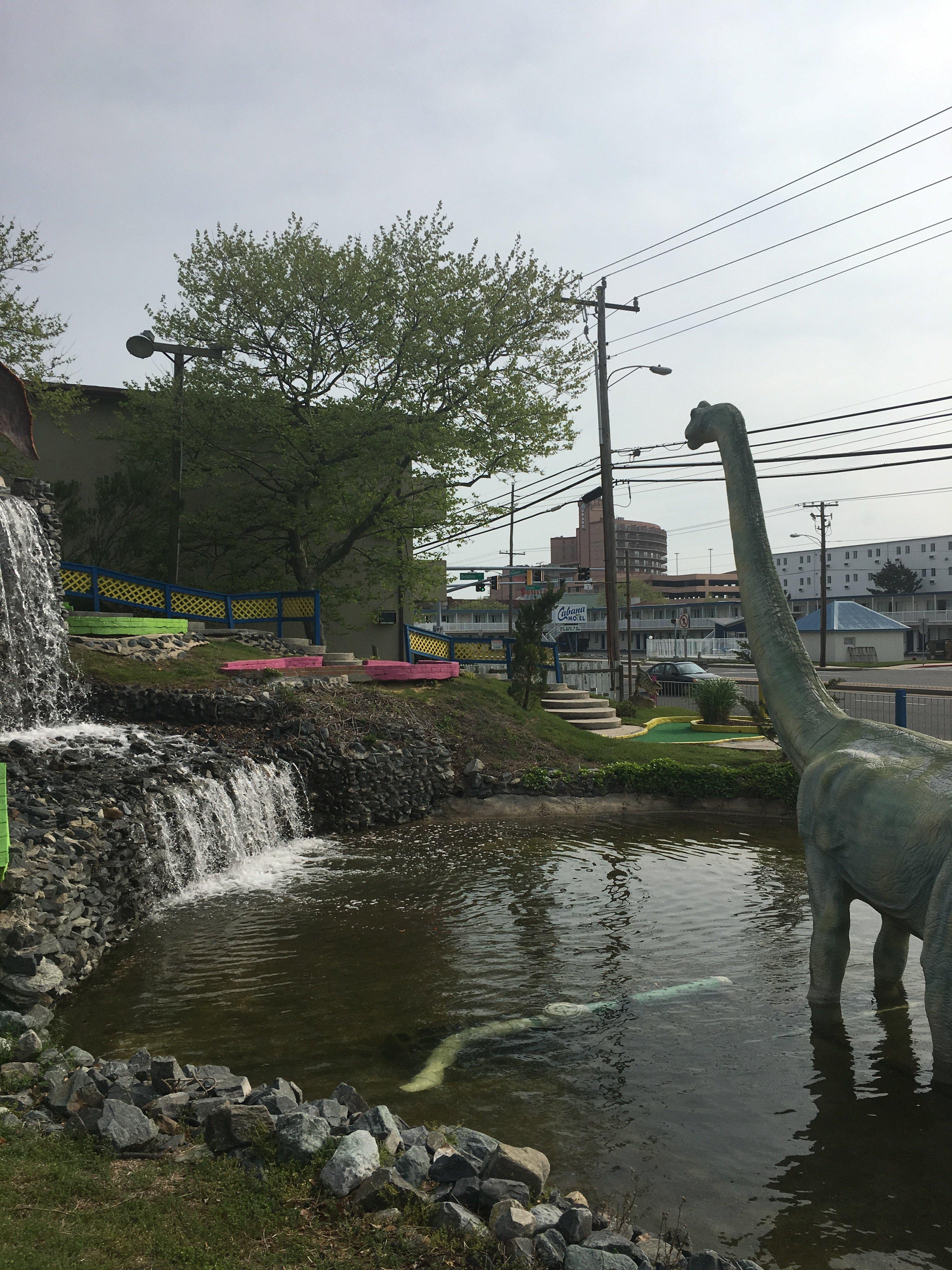 Photo by mypurplegrace