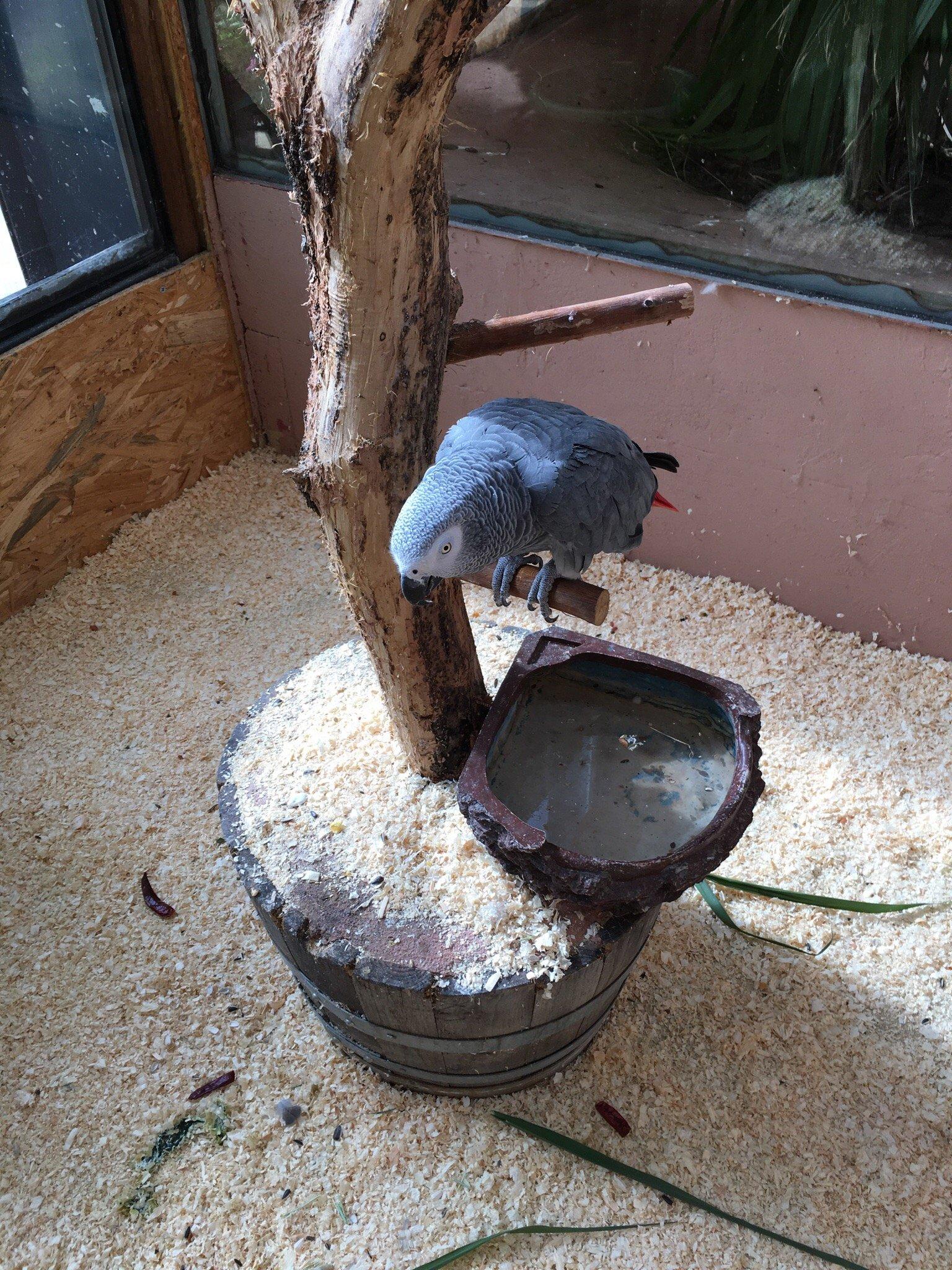 Espace Zoologique Exoticamis