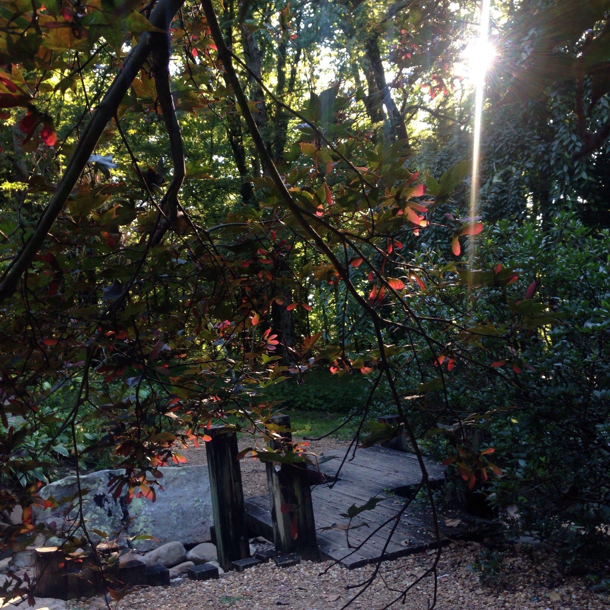 Photo by antianitravels