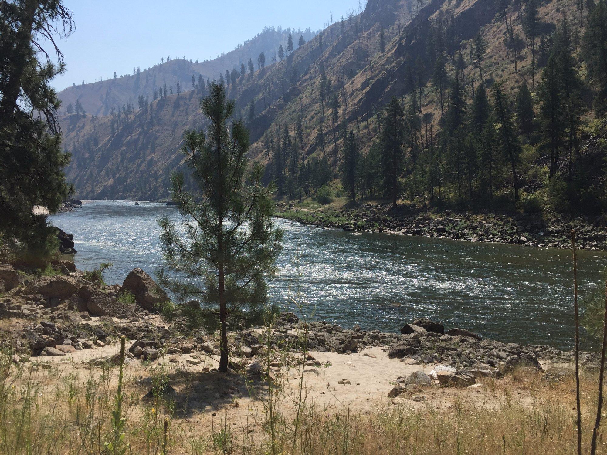 Photo by G9251ZQannew