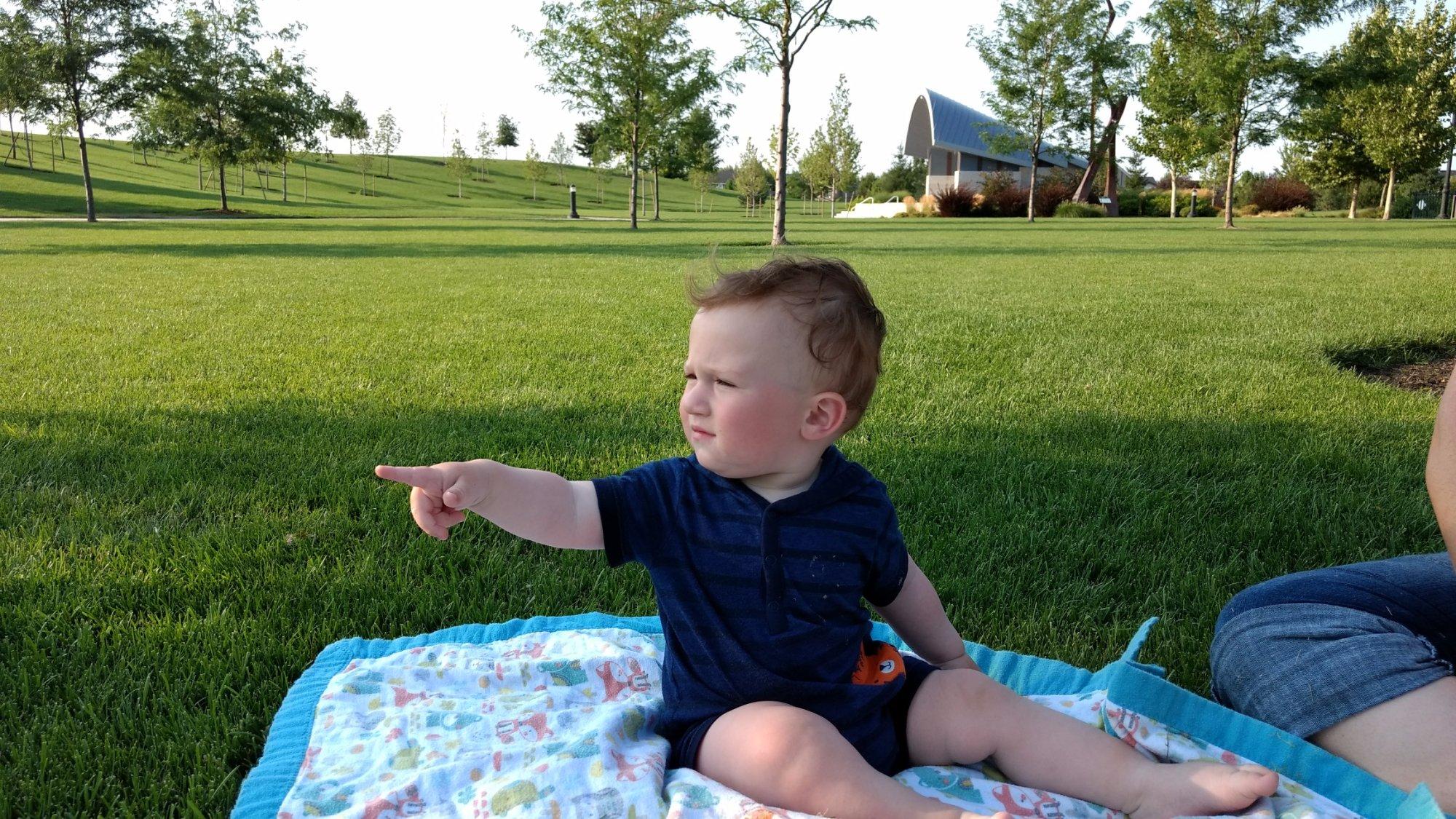 Julius M. Kleiner Memorial Park