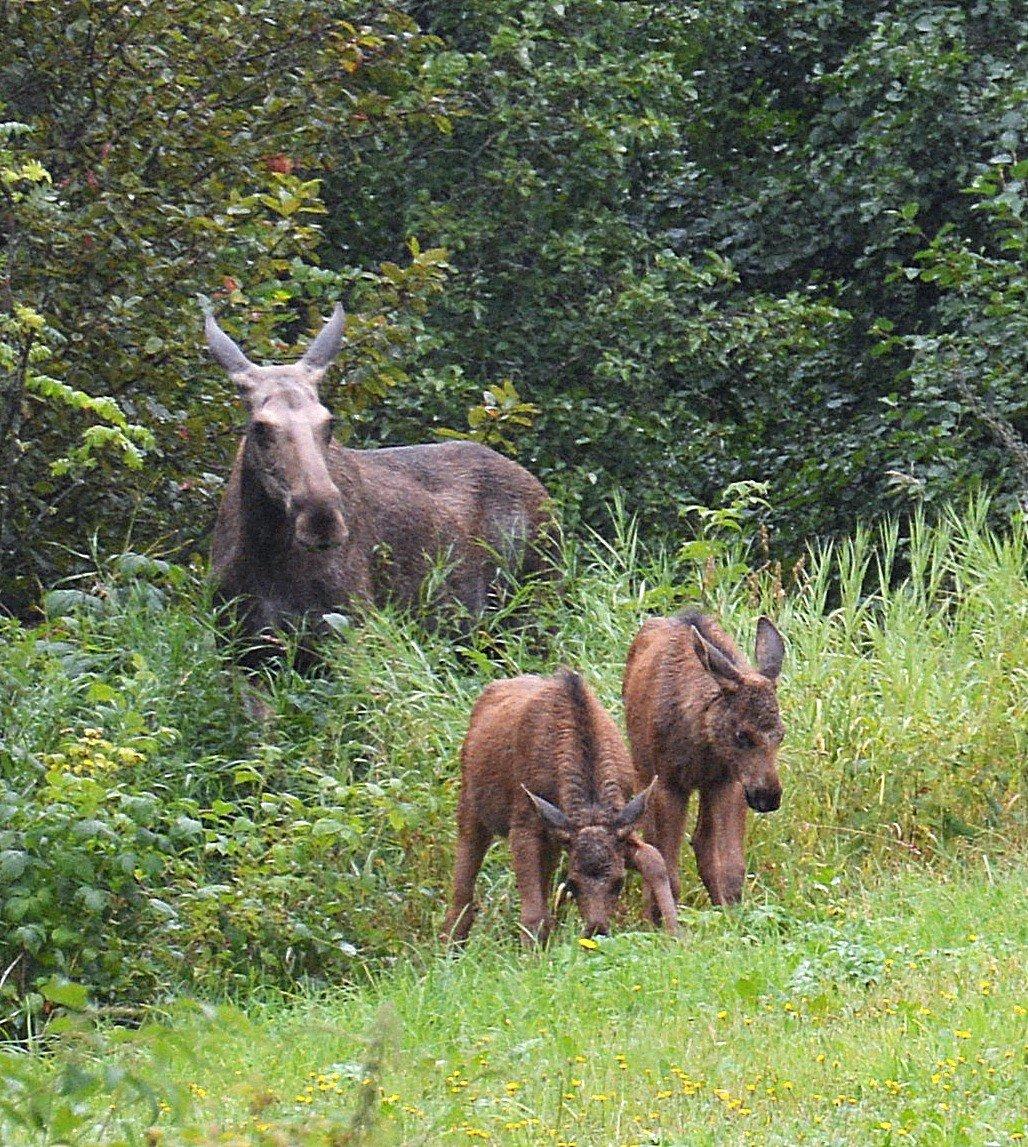 Discover Nature Norway
