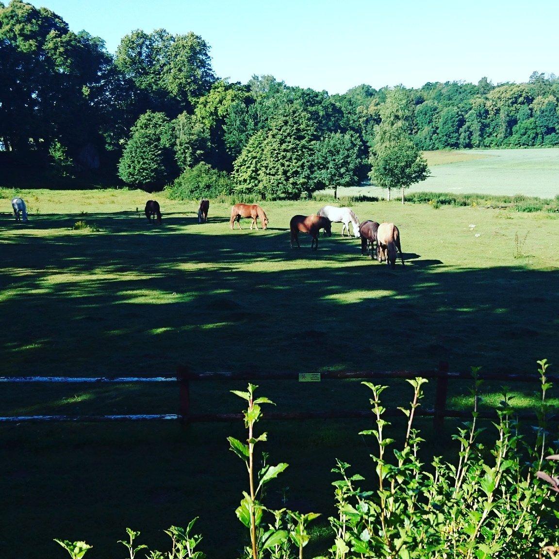 Pagelsborgs Gård B&B
