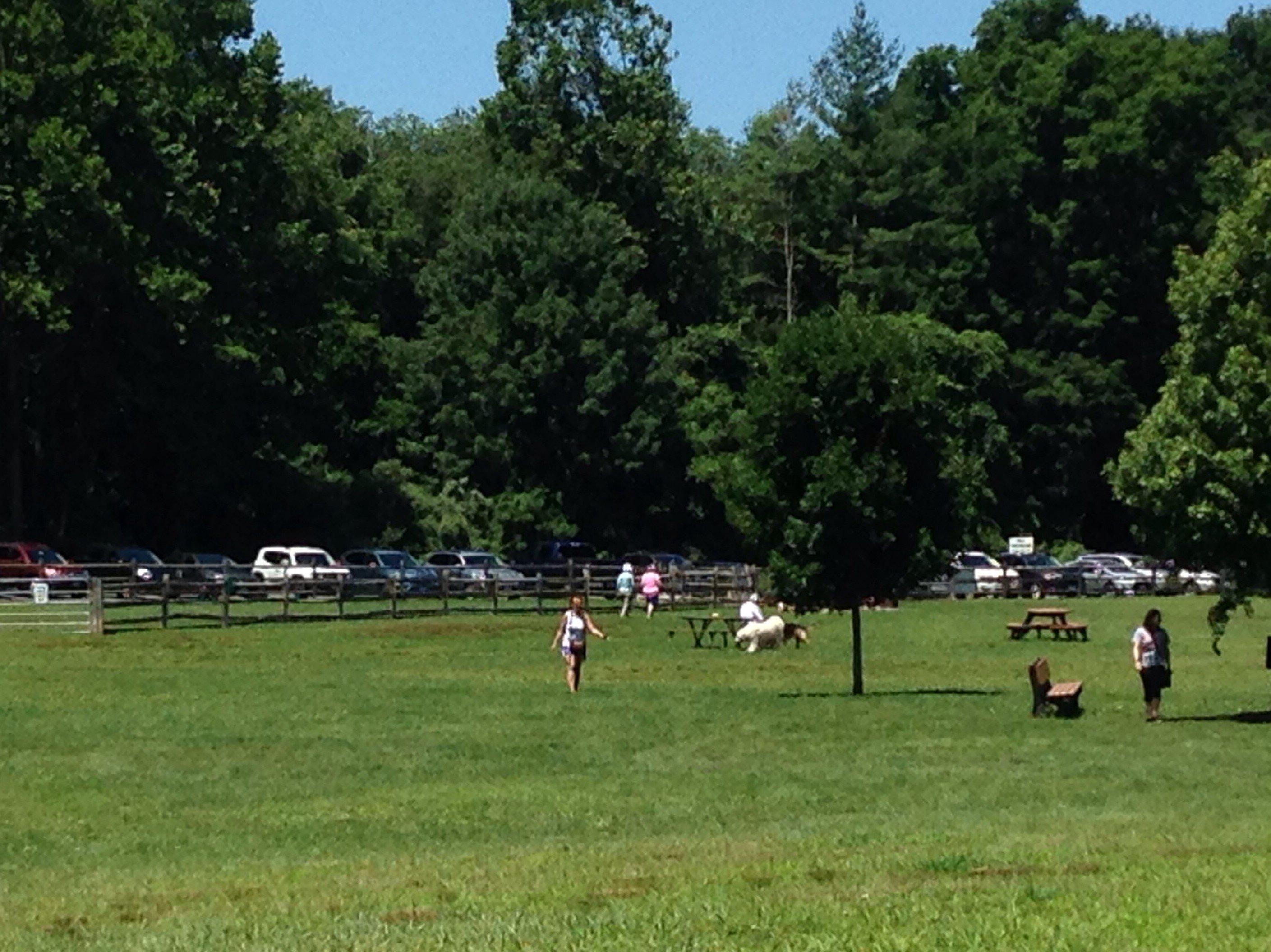Southbury Dog Park