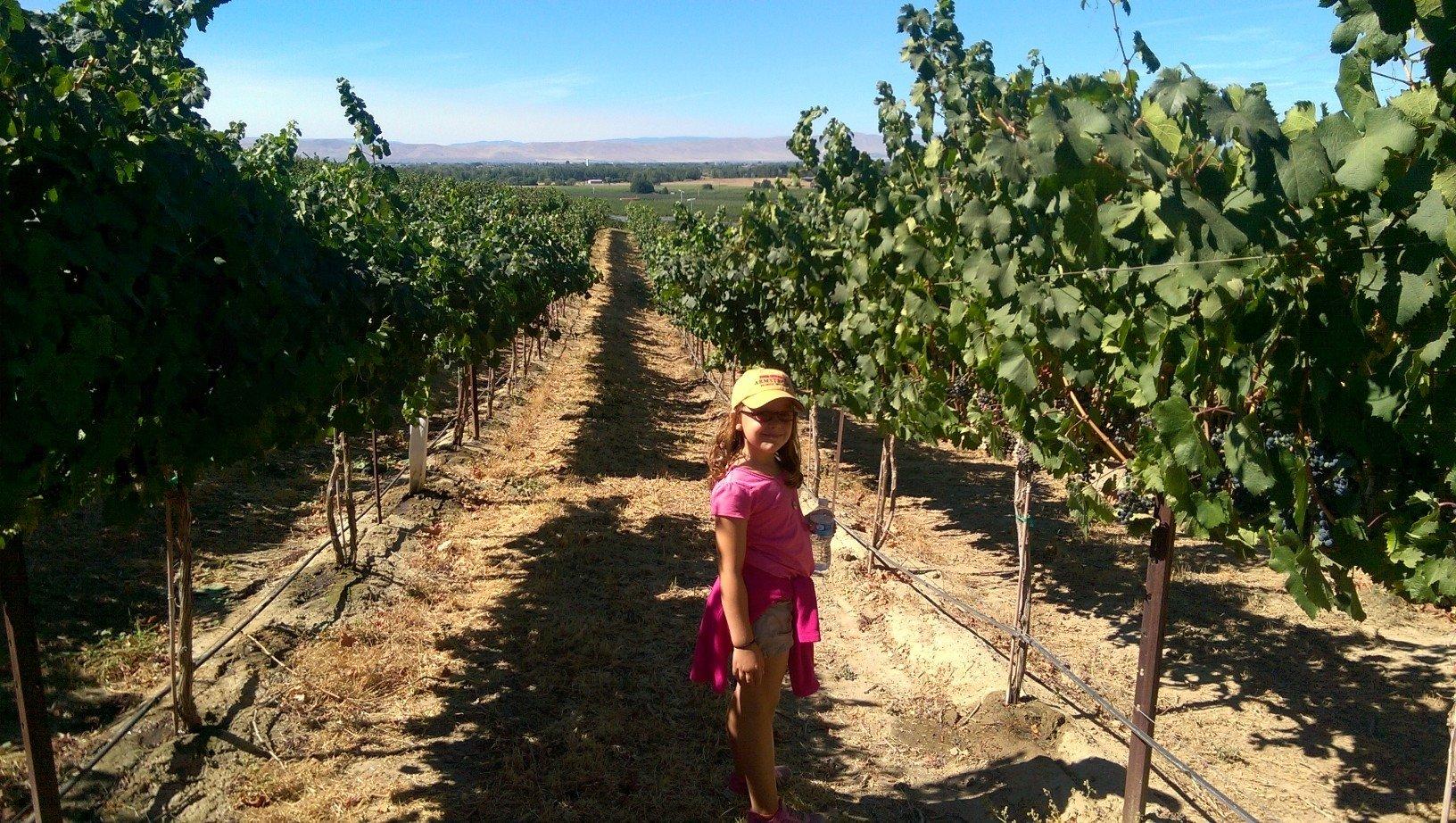 Armstrong Family Winery