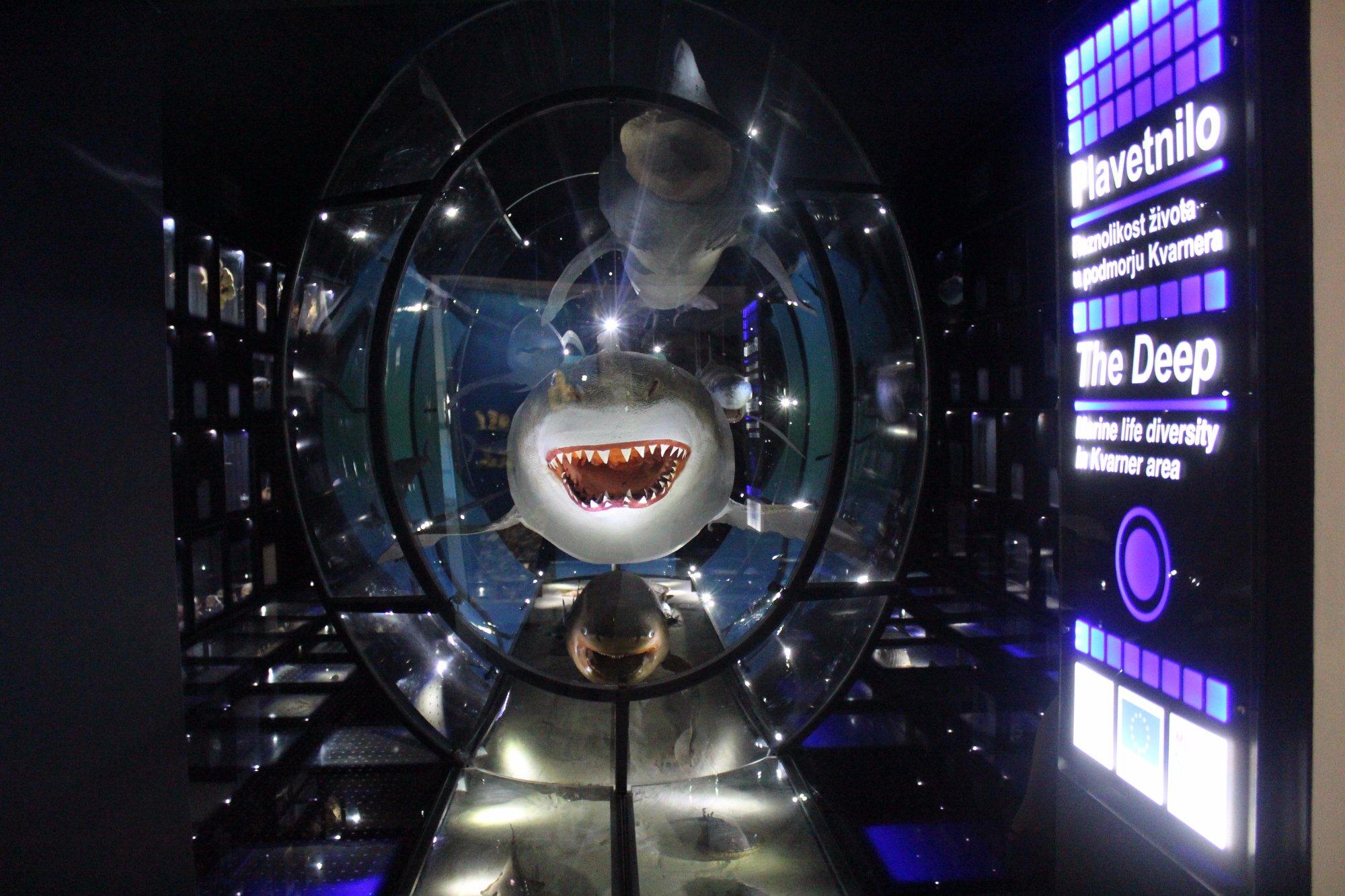 Natural History Museum