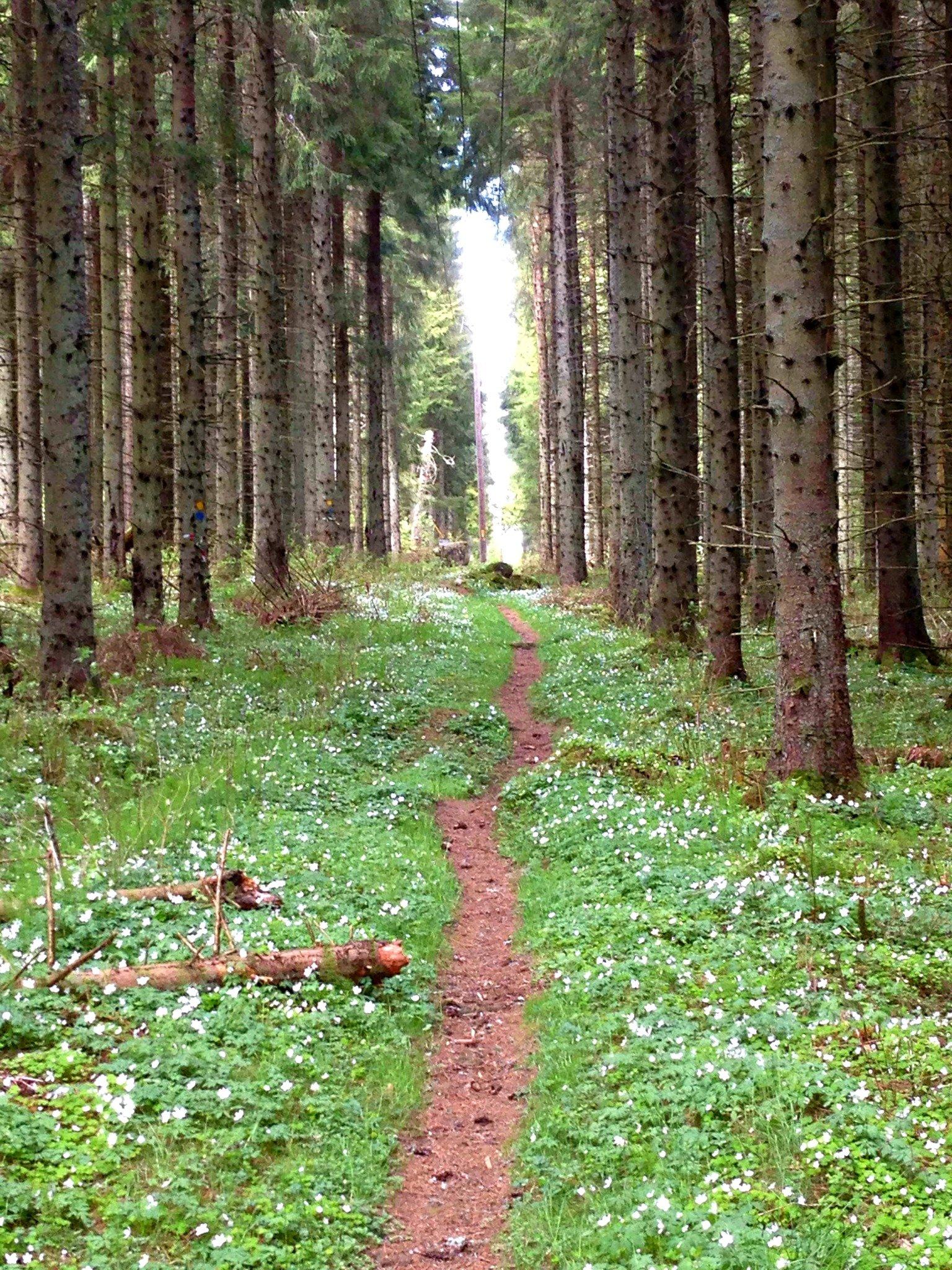 Vildmarksleden Årås