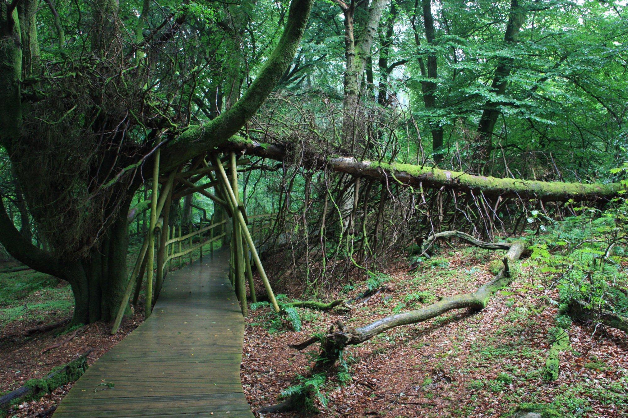 Slieve Gullion Forest Park