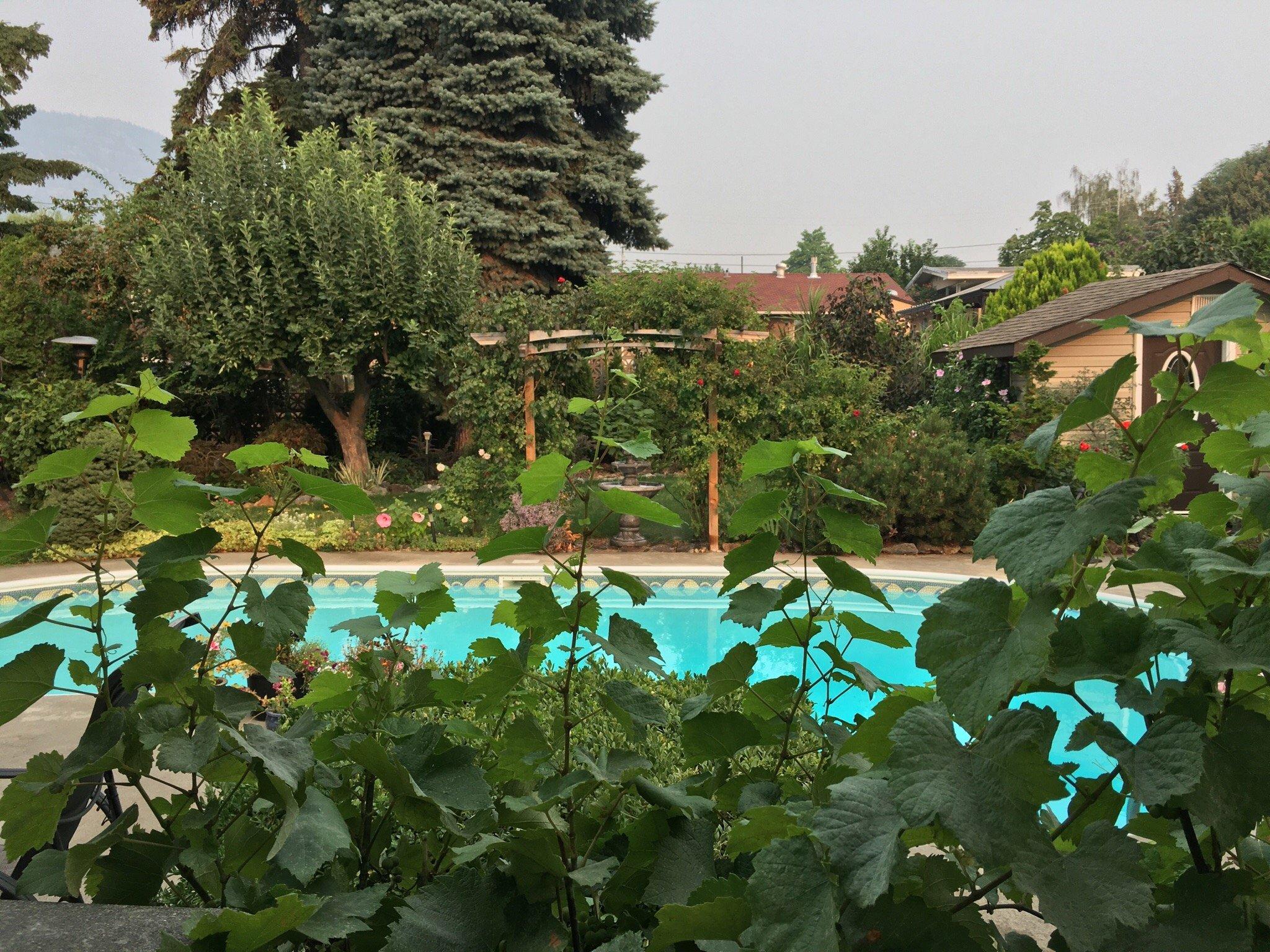 Desert Oasis Bed and Breakfast