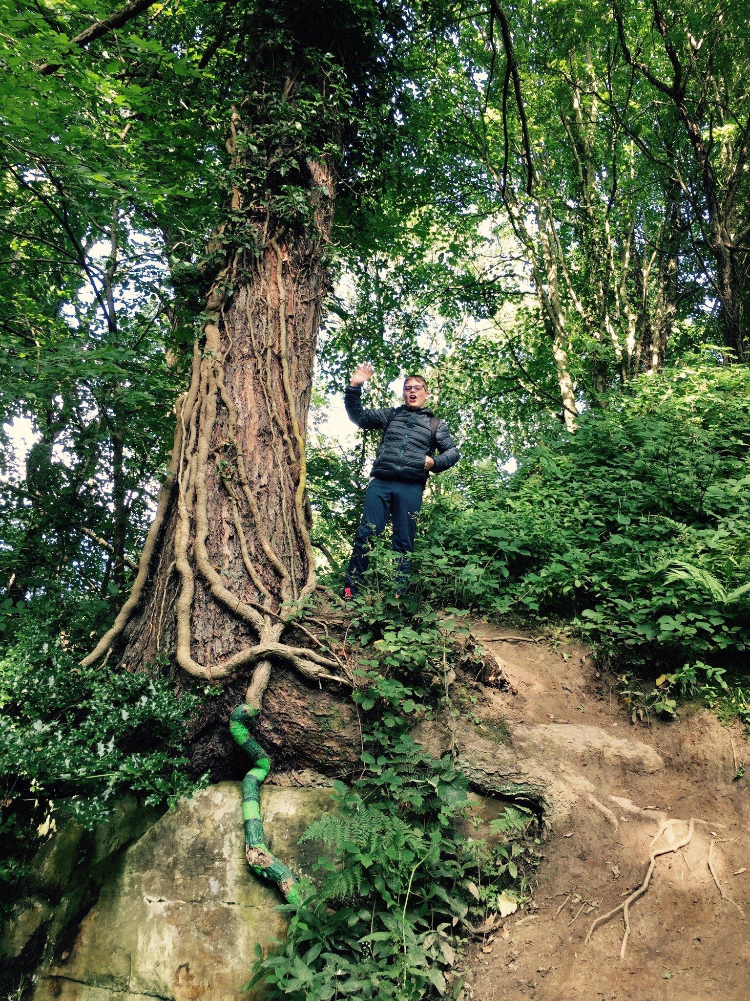 Plessey Woods Art Trail