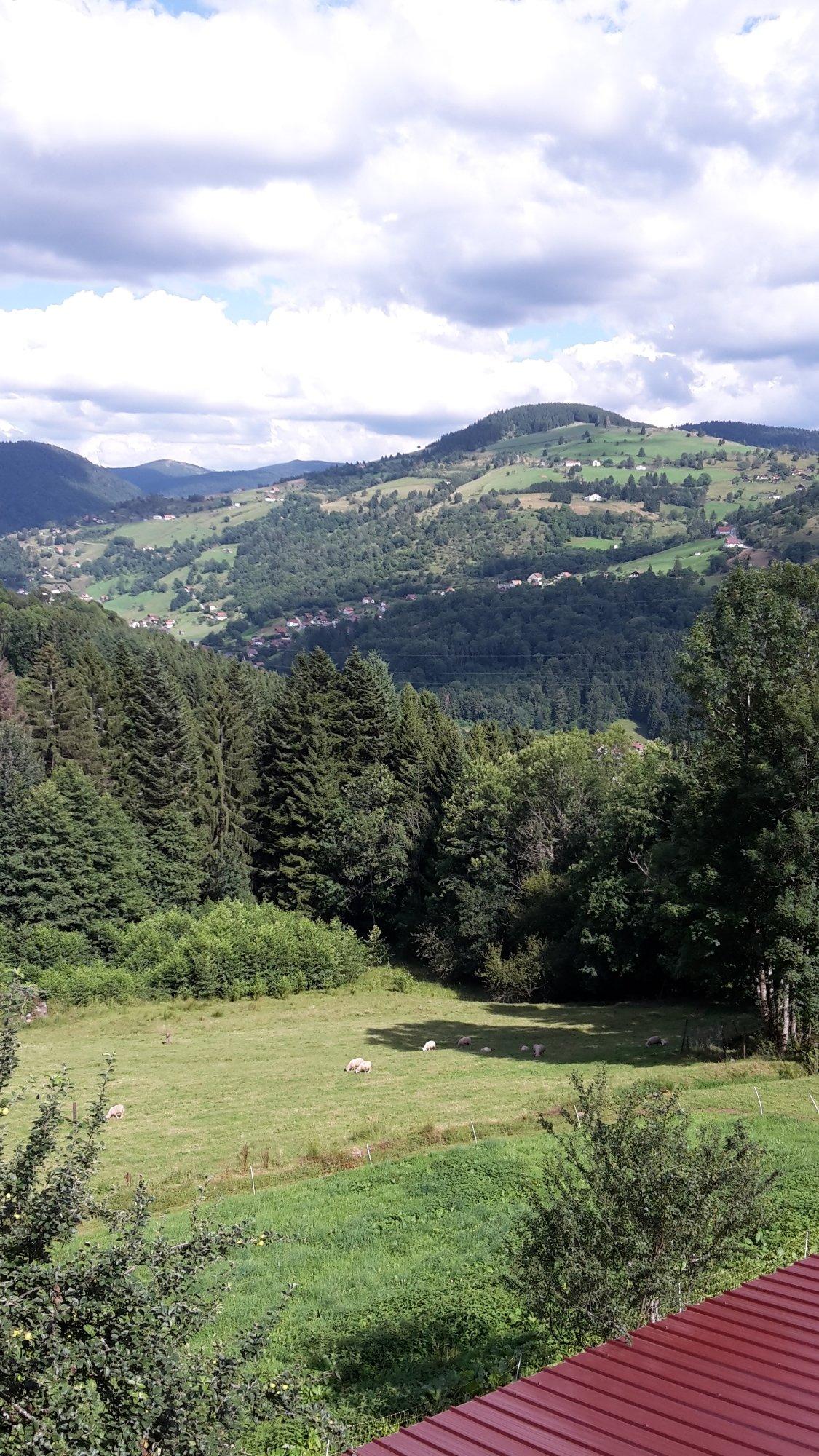 La Ferme du Vieux Sapin
