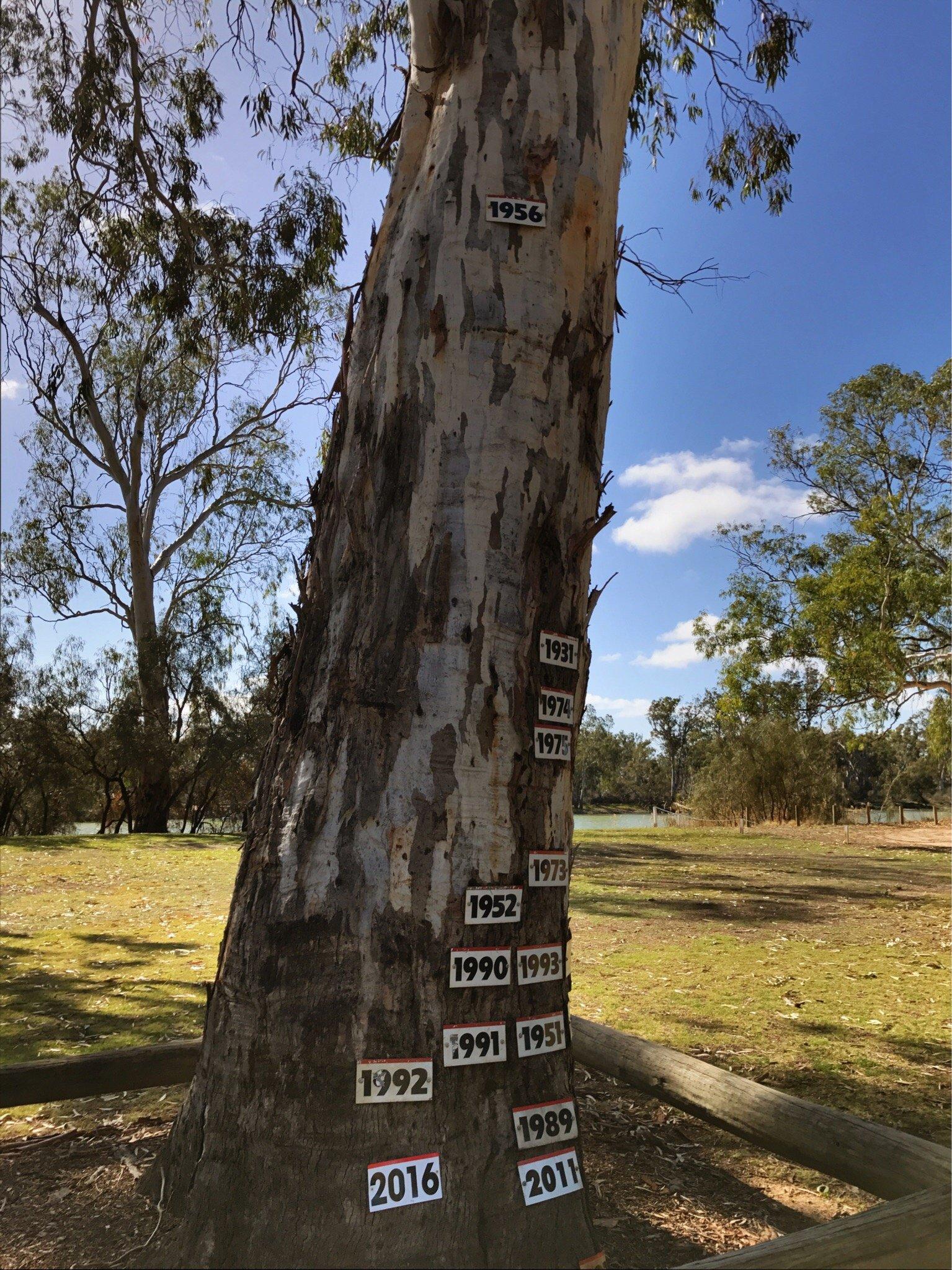 Loxton Pioneer Playground