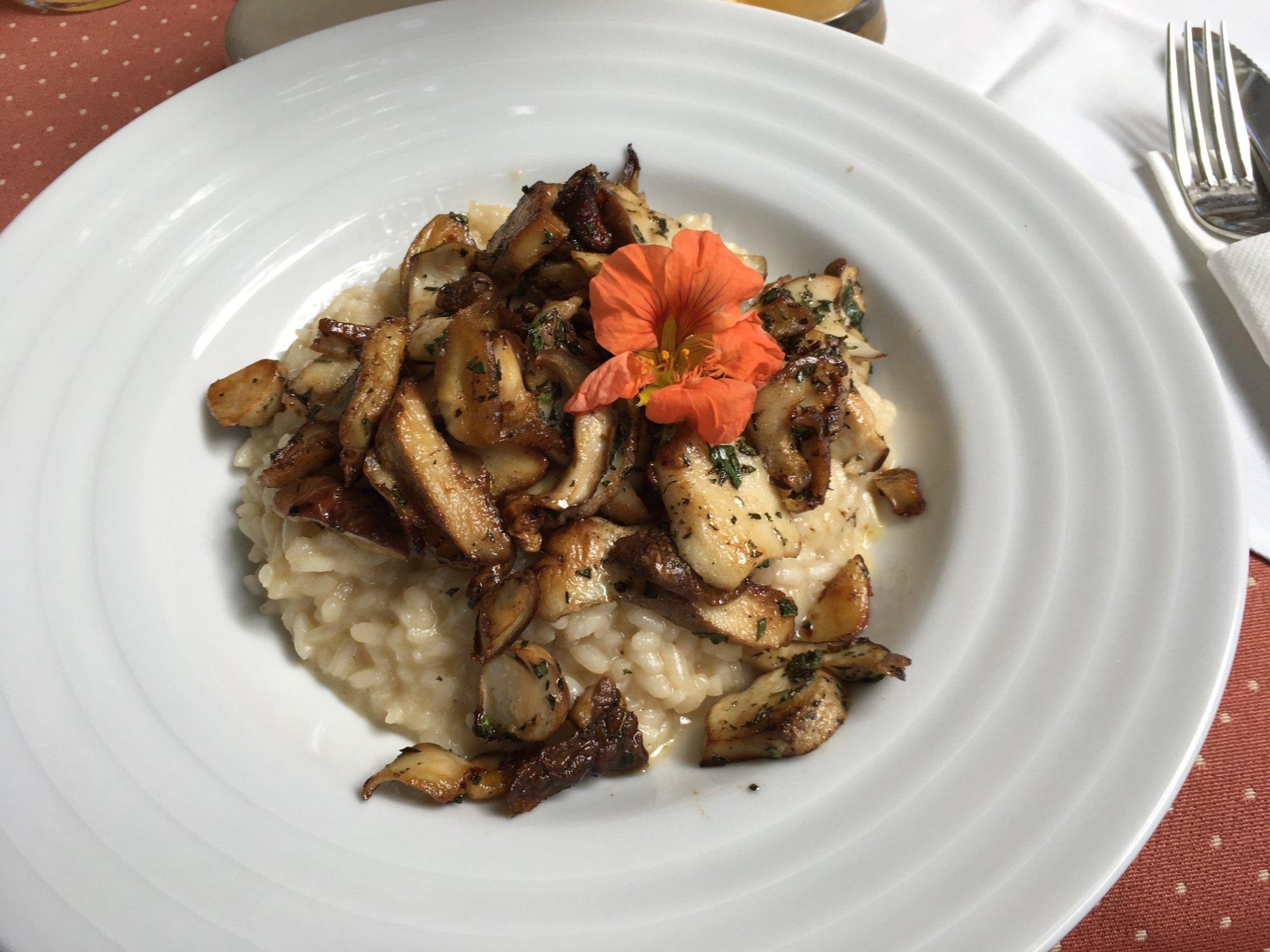 Photo by Christopher G