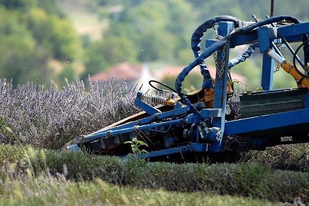 Distillerie des 4 Vallées