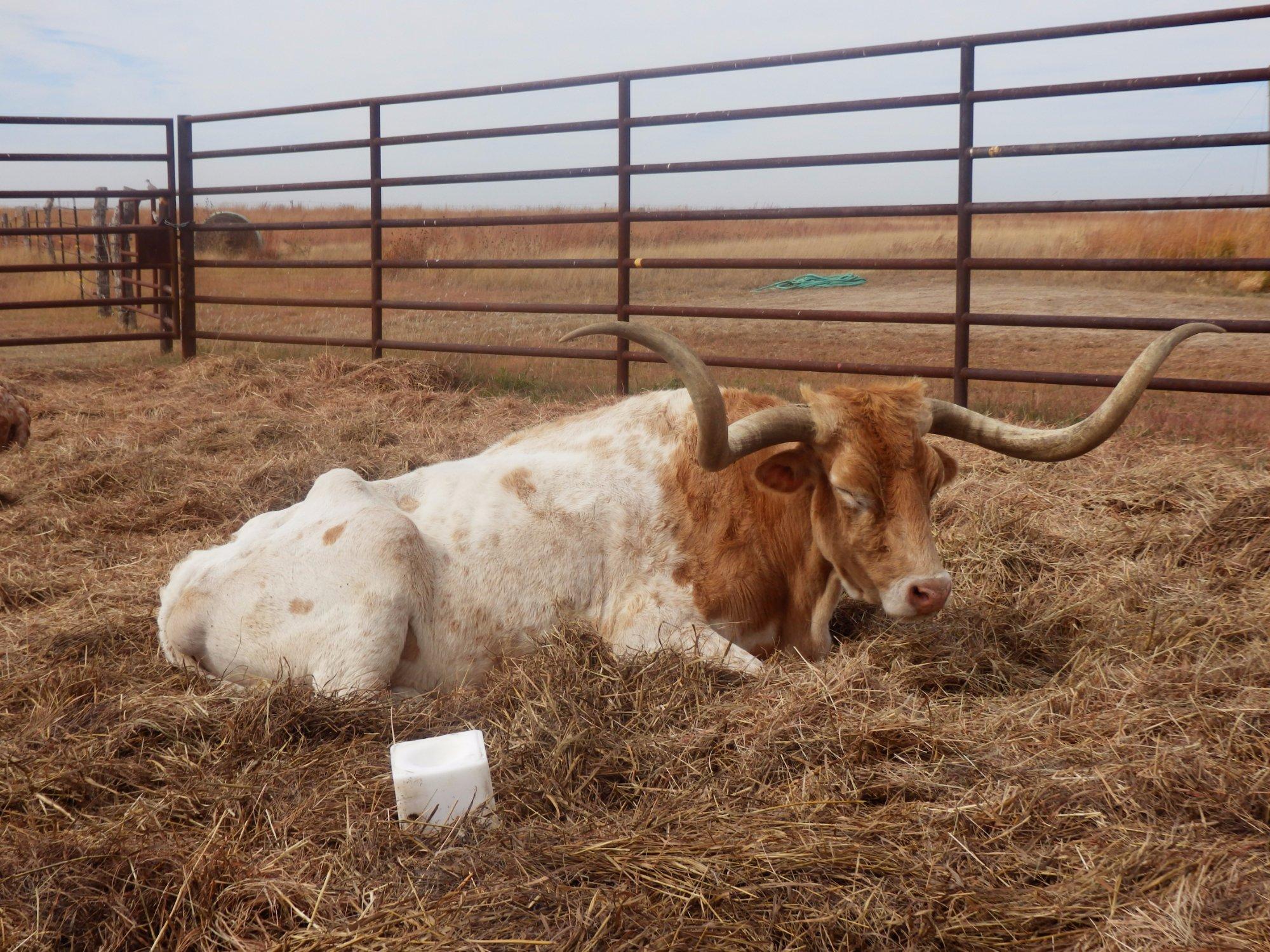 Photo by turkeyrun23