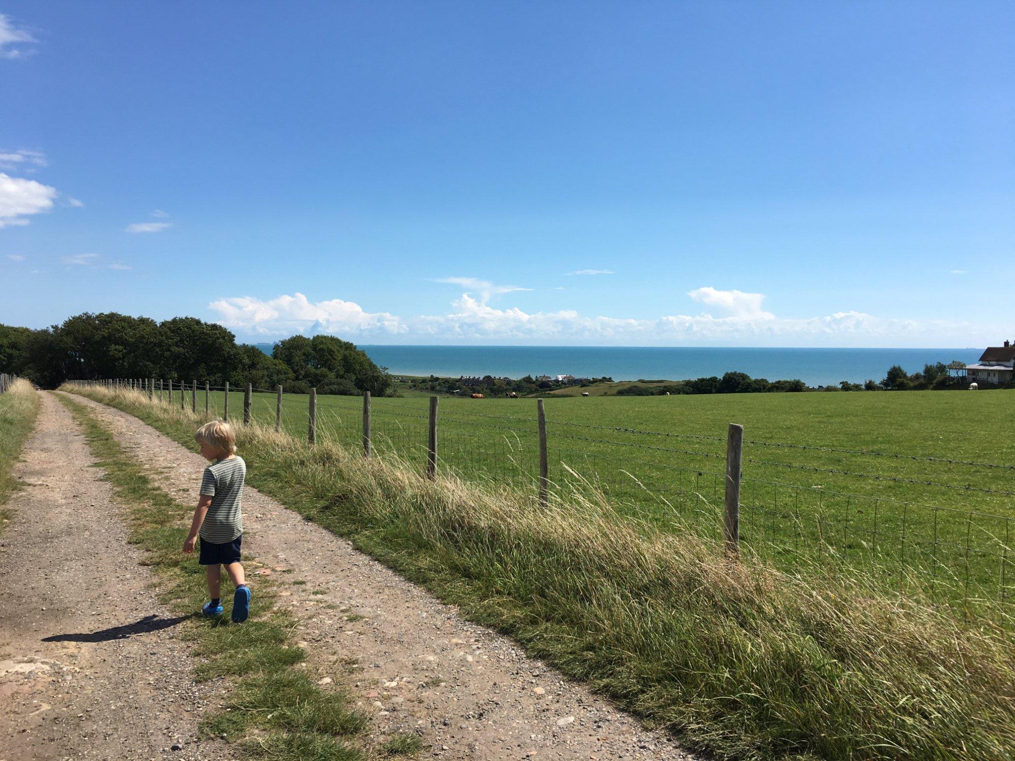 Feather Down Lunsford Farm