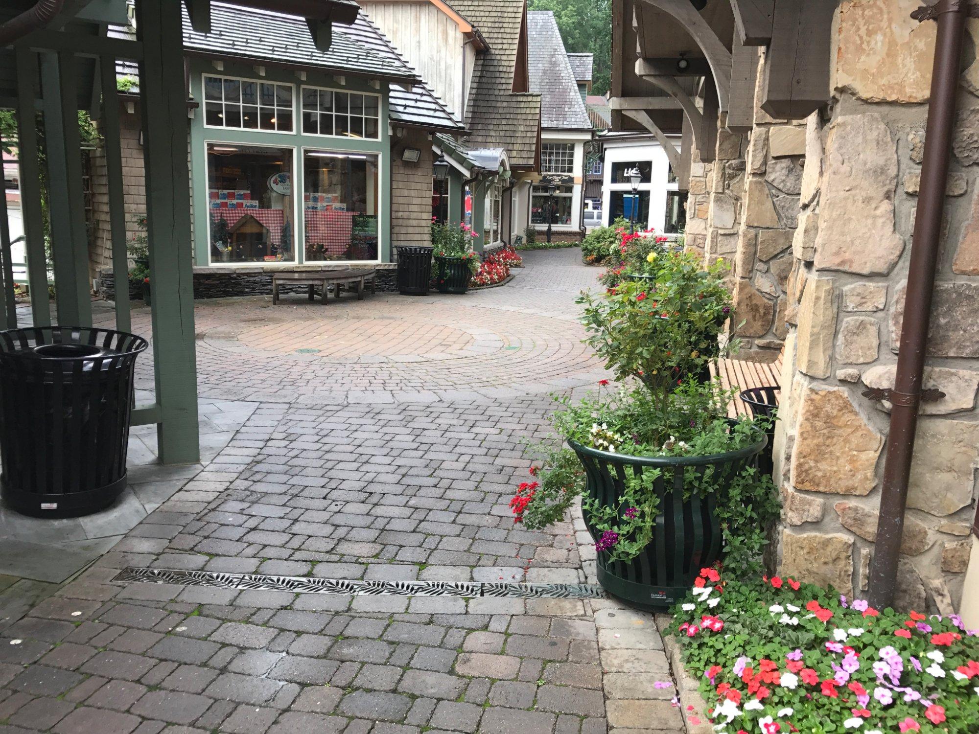 Photo by daisyferret1