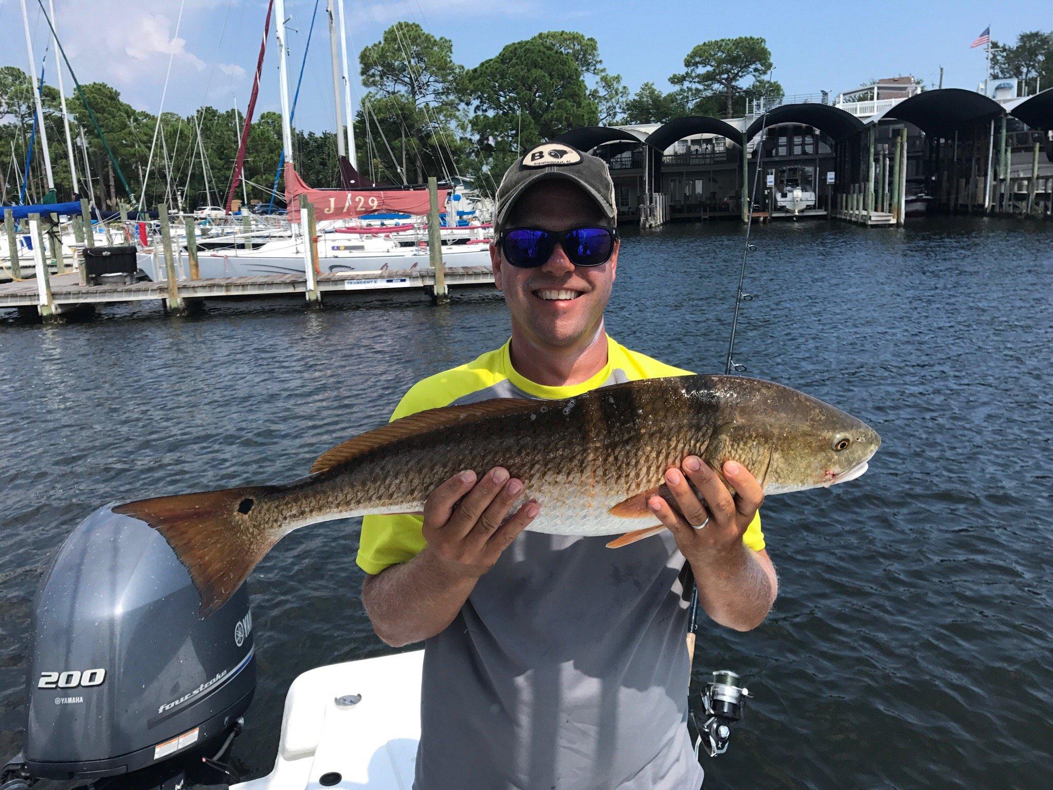 Photo by briansI5241ZM