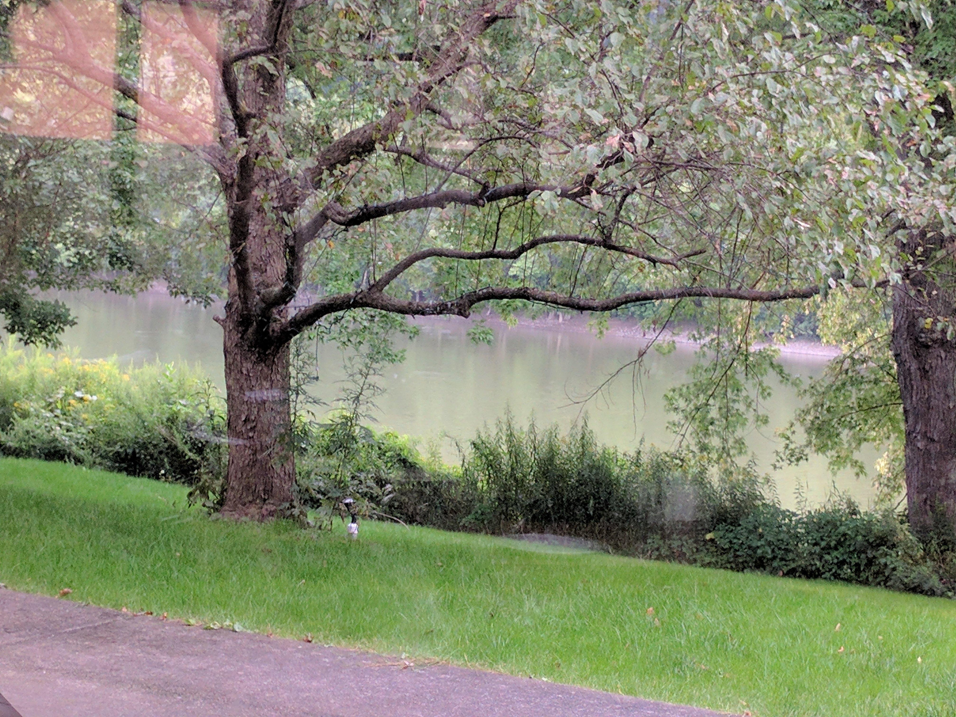 Photo by marleneblack301