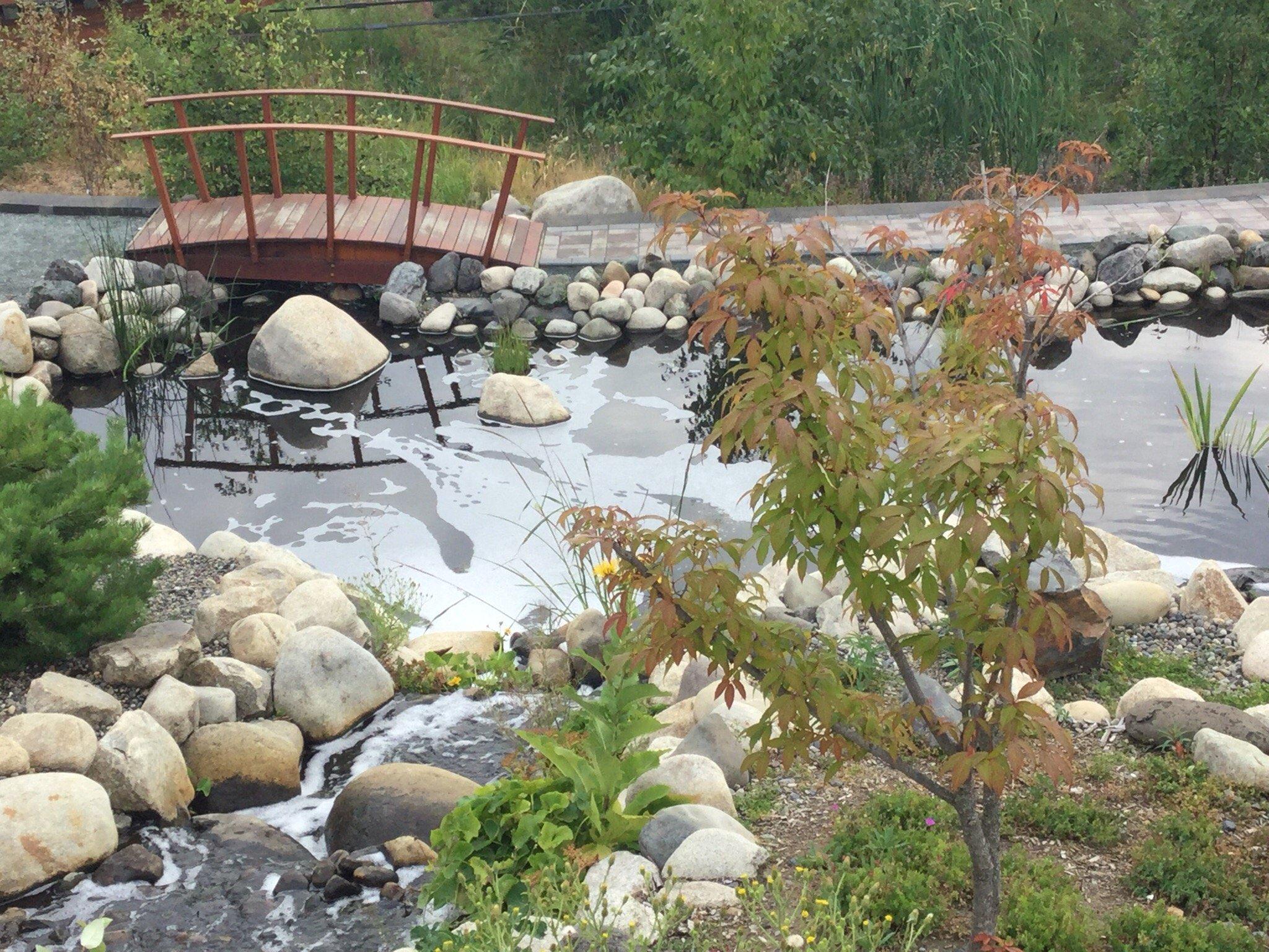 Photo by shinyburlingtonON