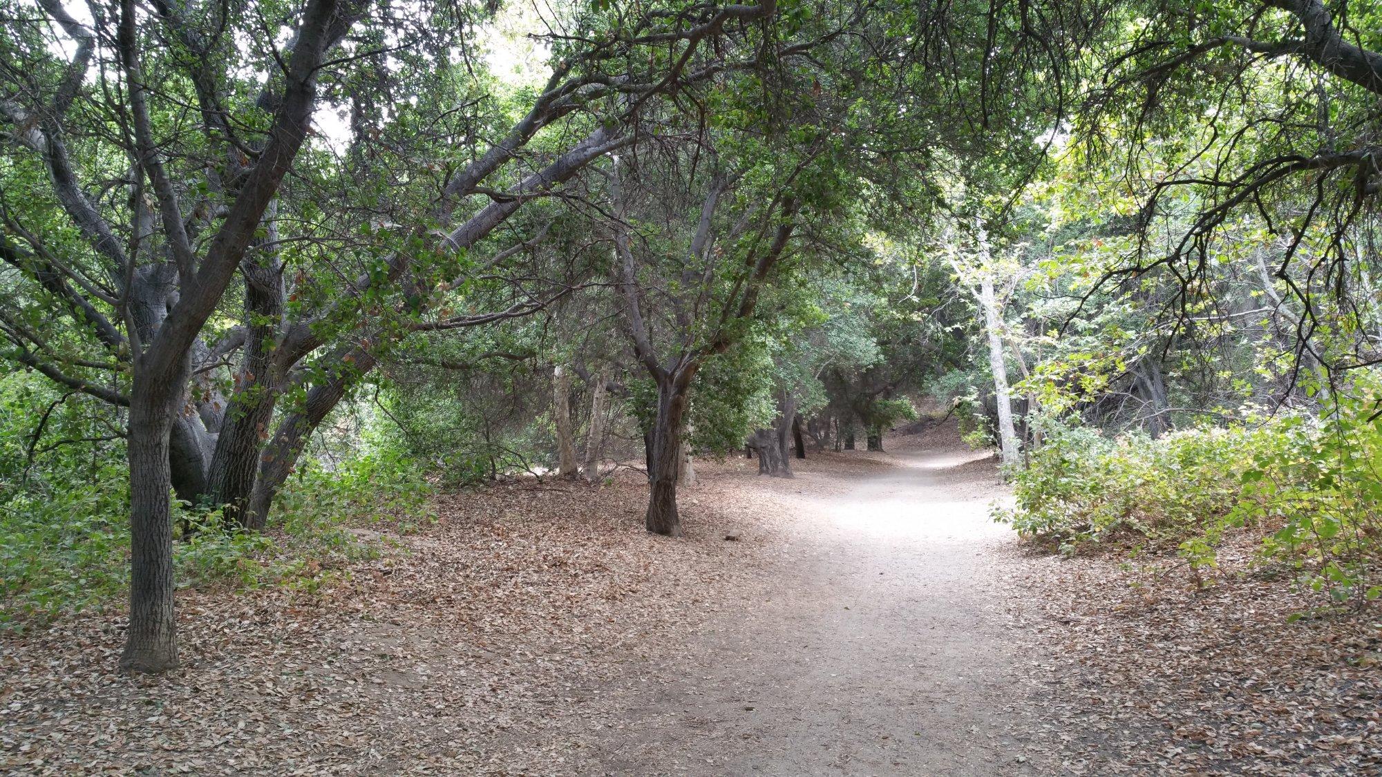 Aliso Canyon Park