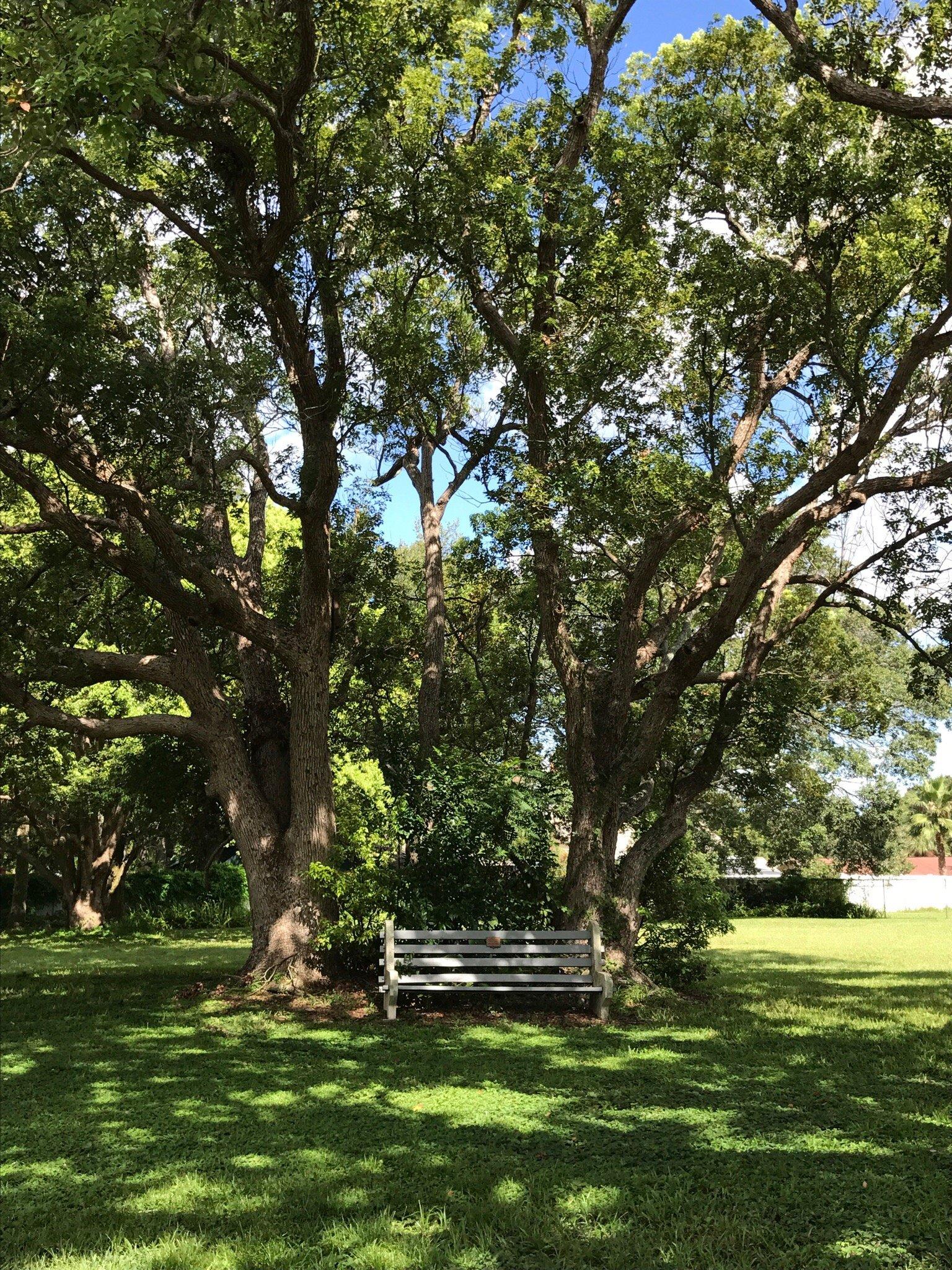 Photo by TravelVidaa