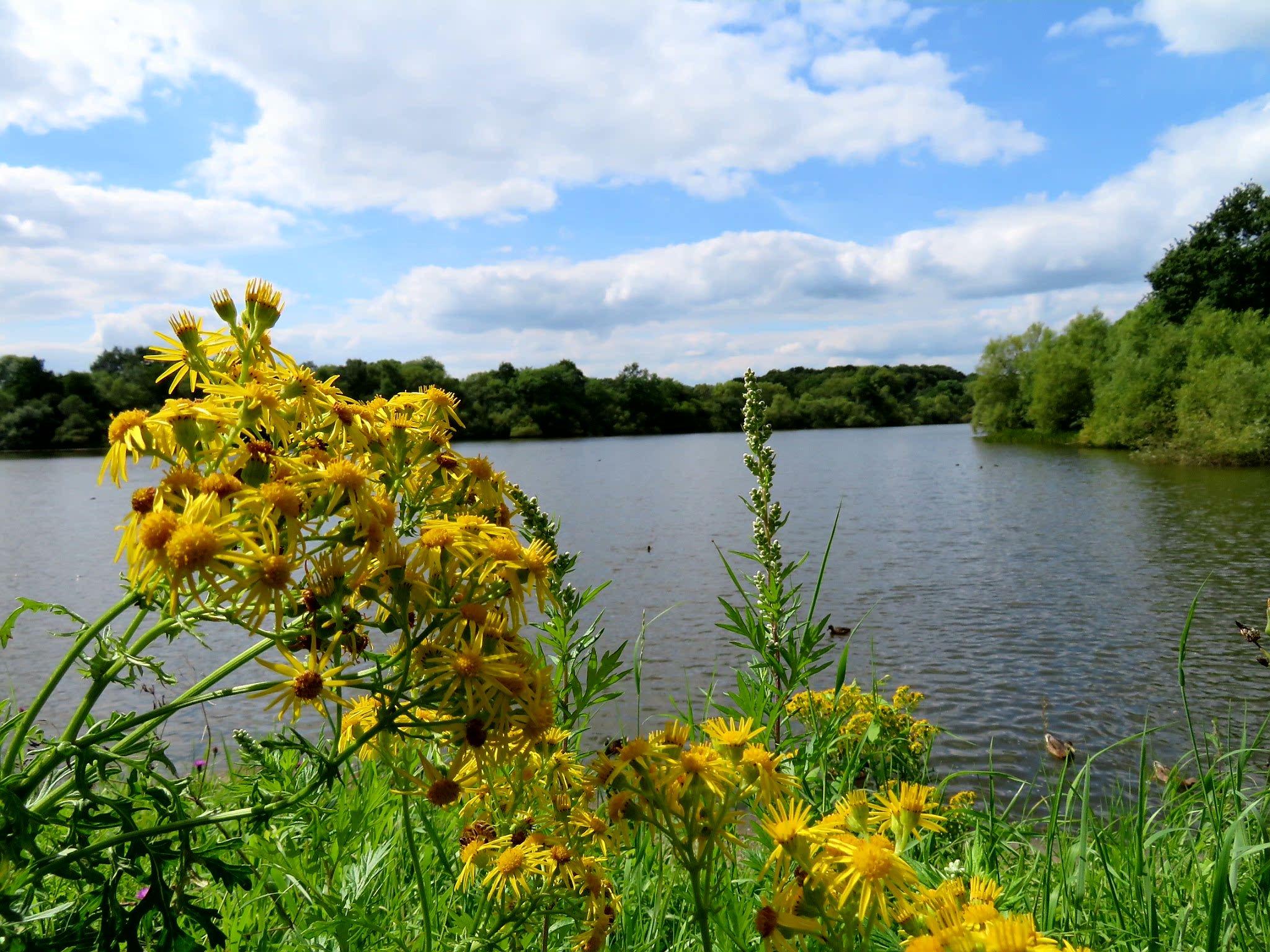 Shipley Country Park