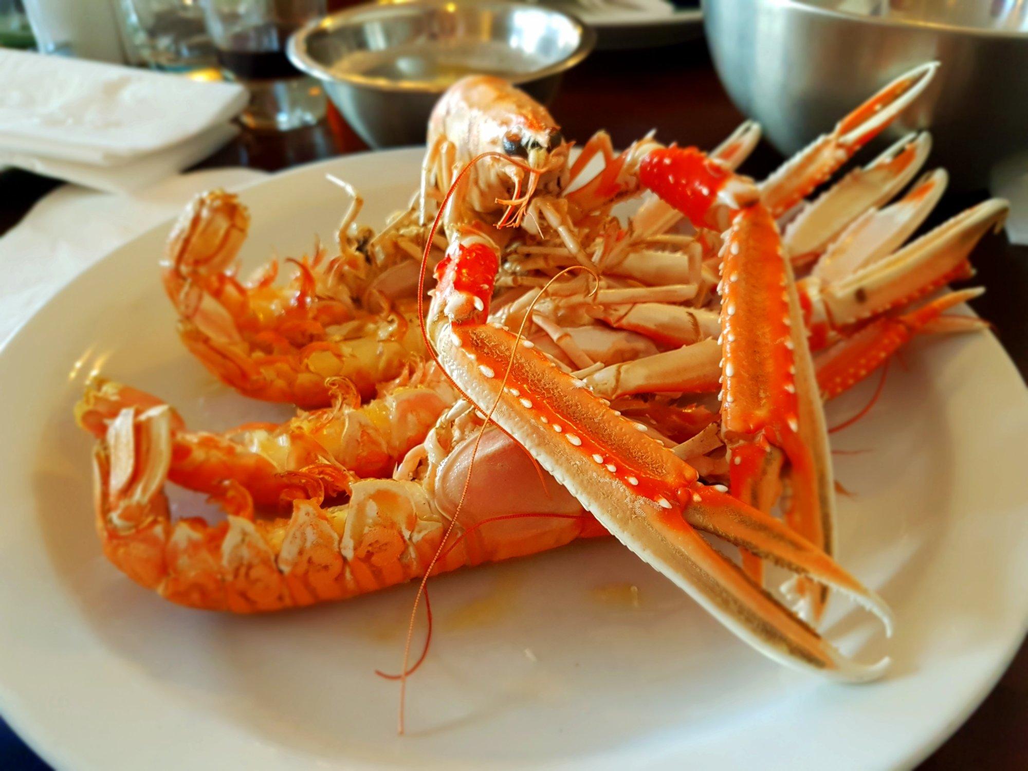 Photo by erdbeerchen73