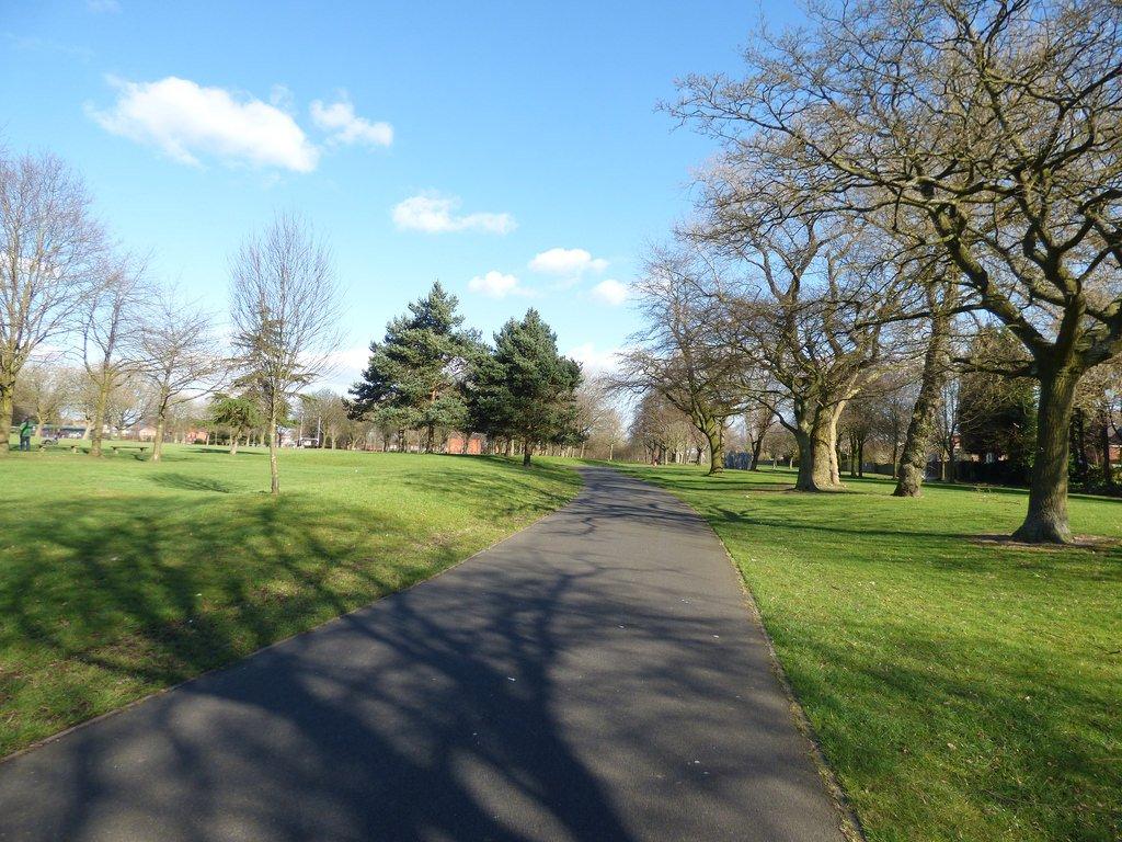 Summerfield Park