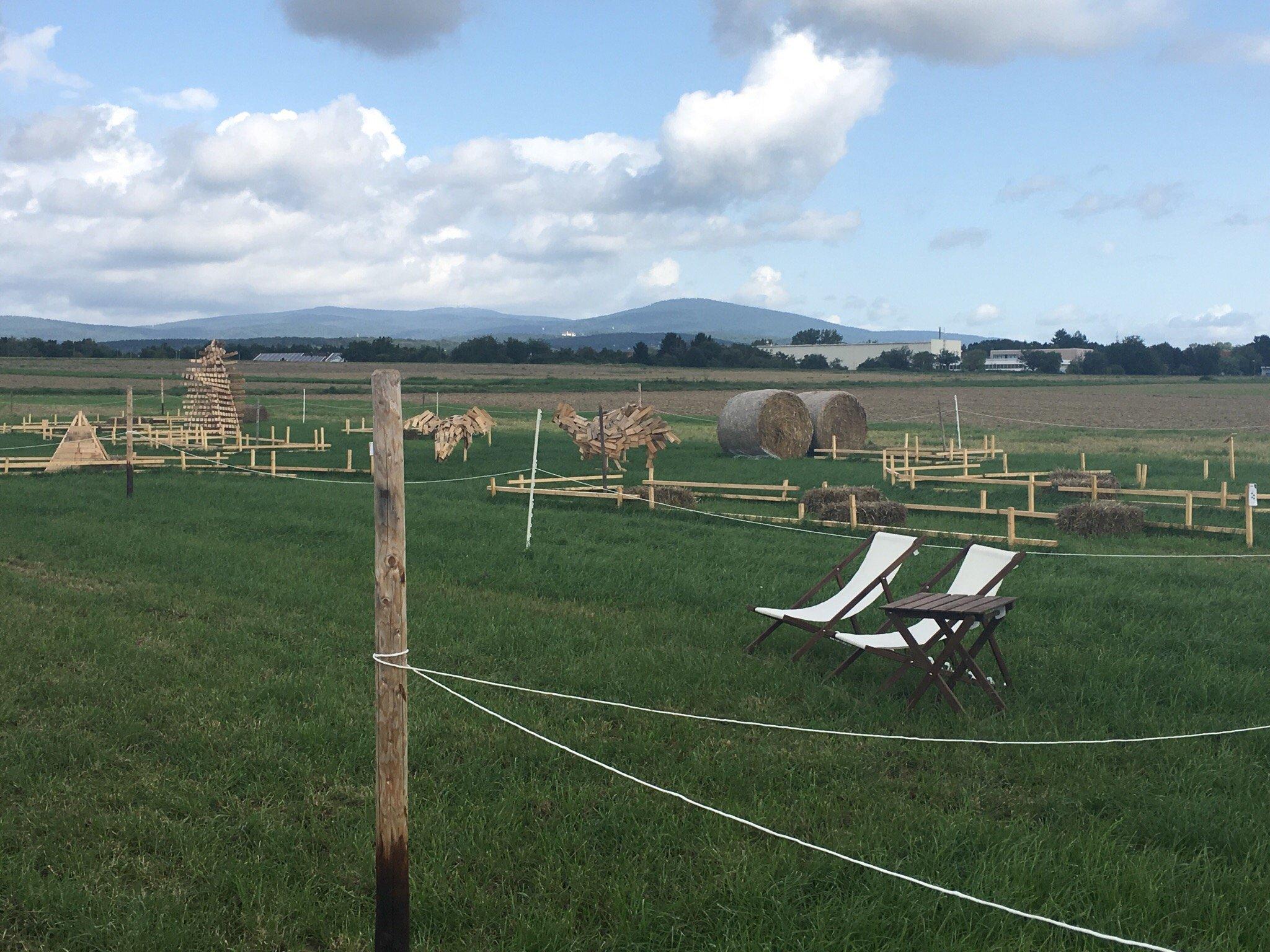 Maislabyrinth Liederbach