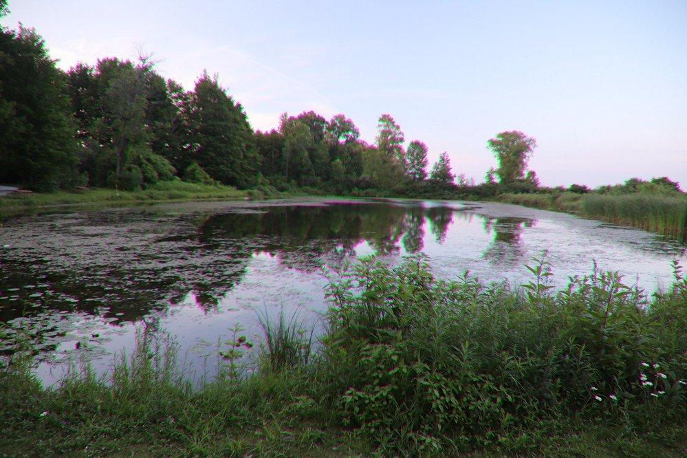 Mac Johnson Wildlife Area