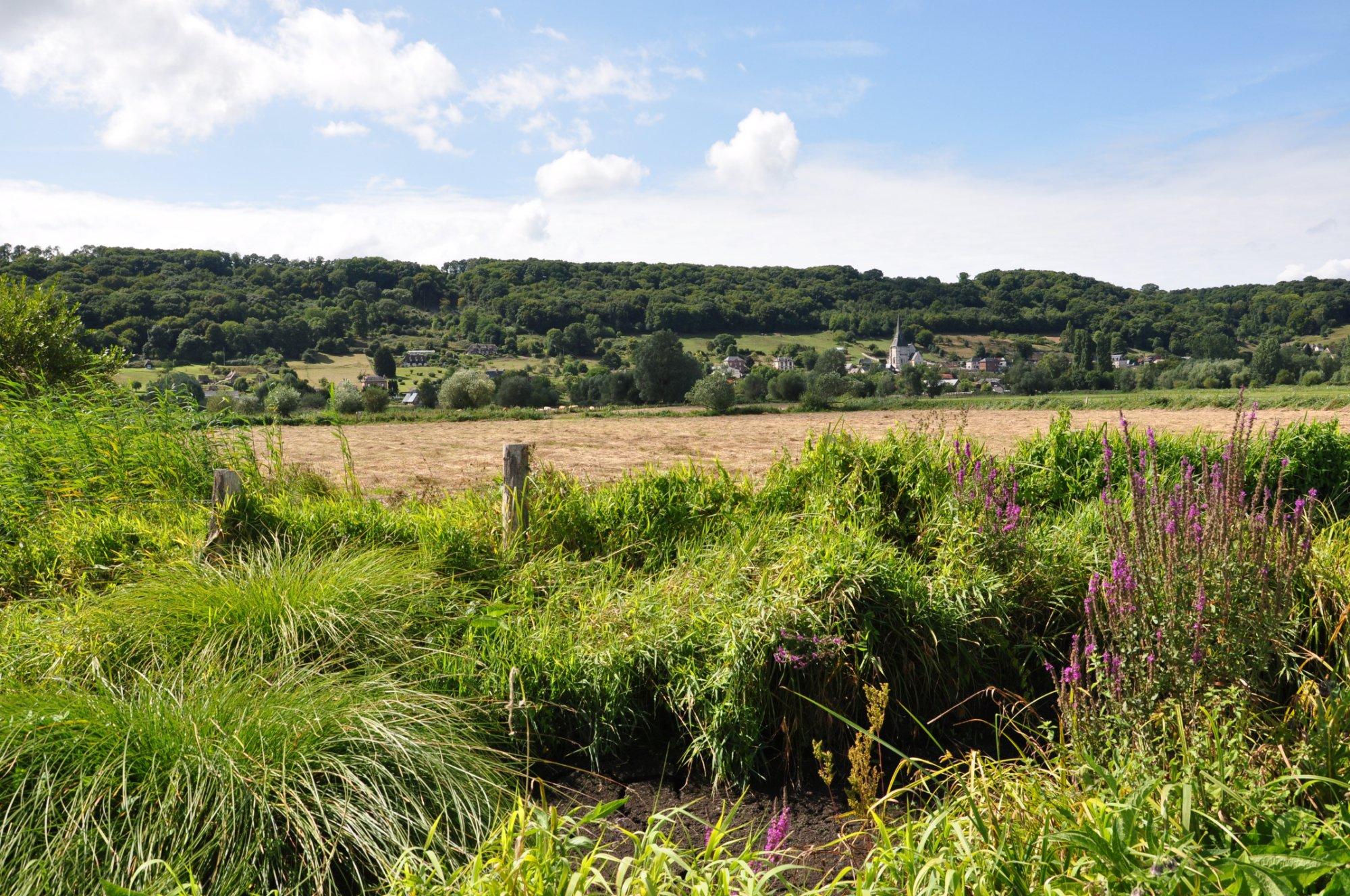 Chemin de Decouverte du Marais